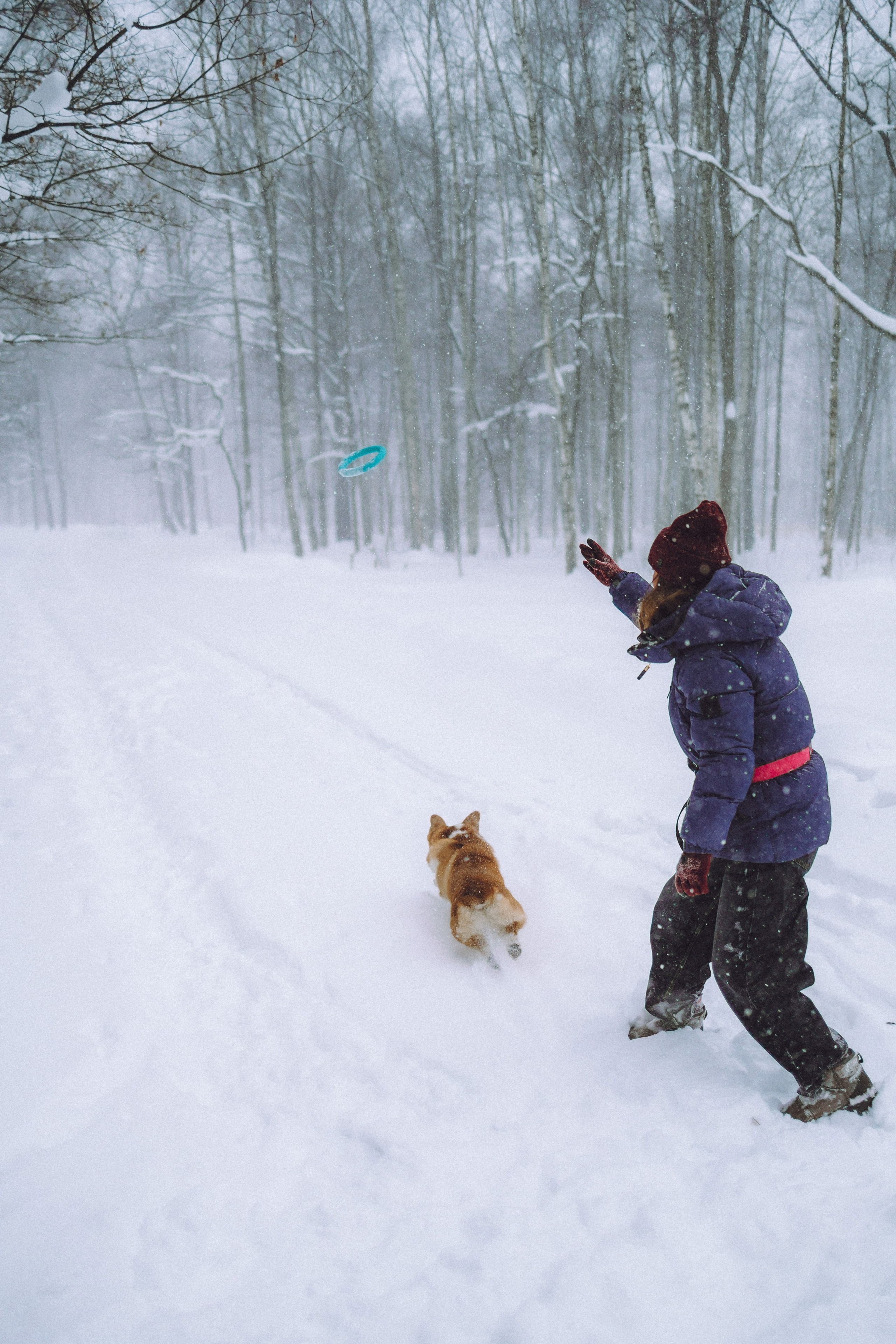 Юля и Юпитер