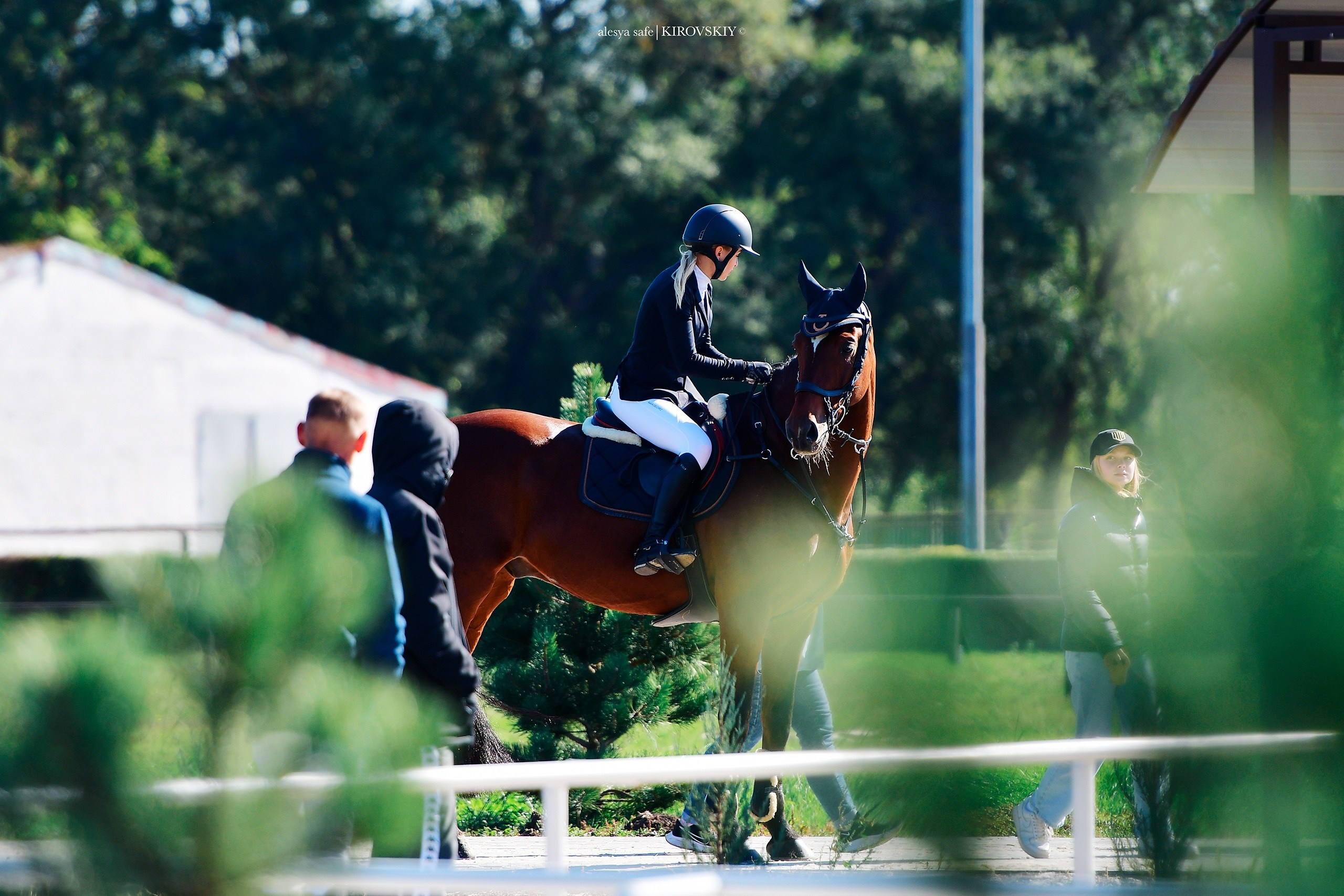 Кировский конный завод. Конный фотограф Alesya Safe