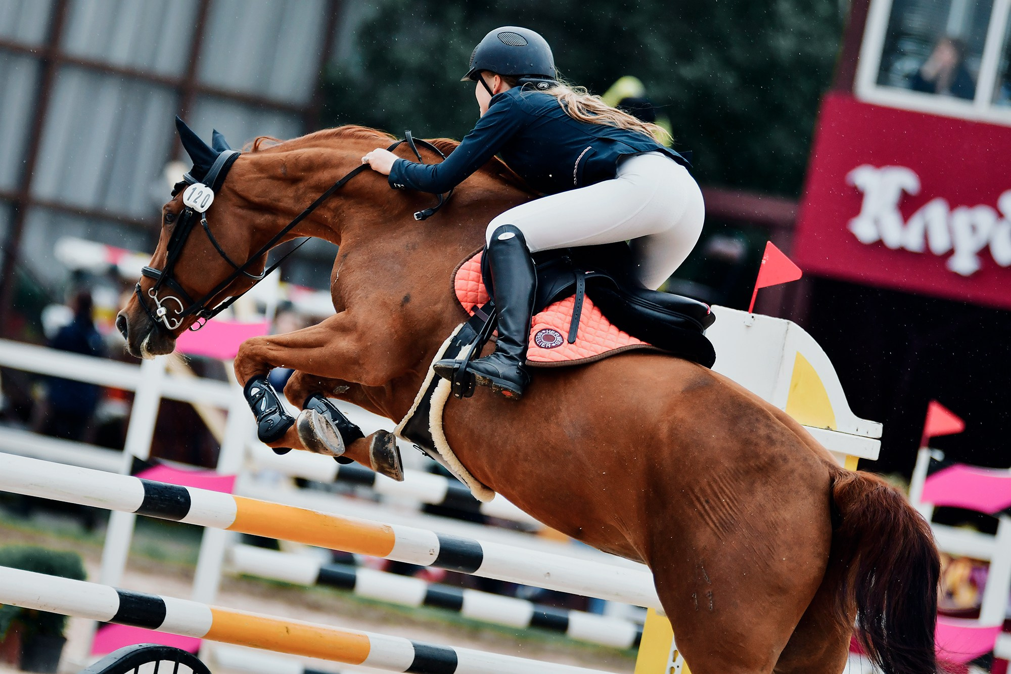 Конный фотограф Alesya Safe