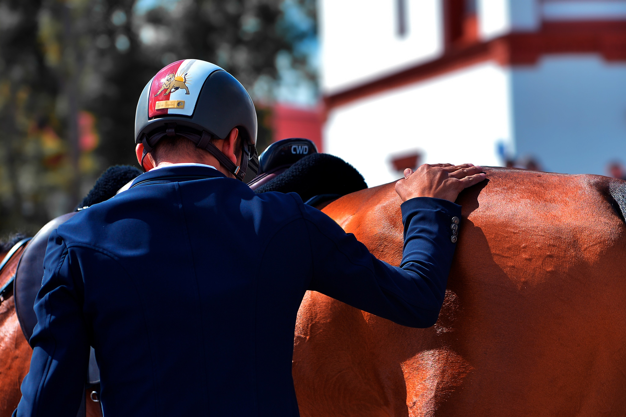 Репортаж Bitriver. Конный фотограф Alesya Safe