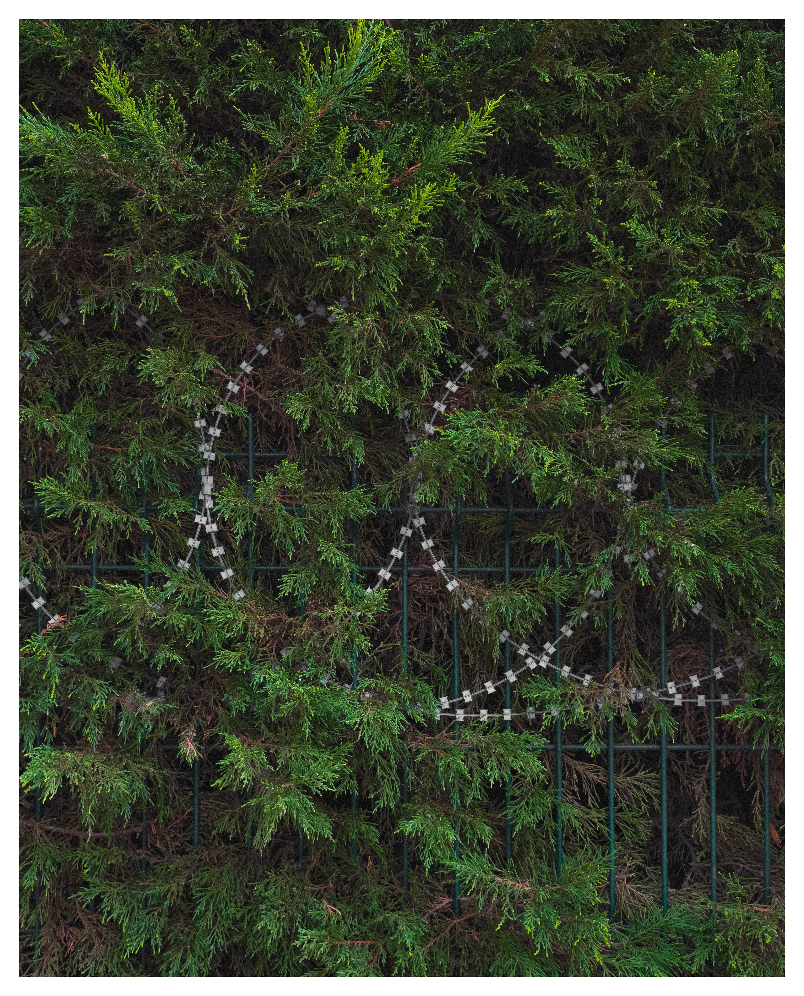 Мир повседневных Вещей. Репортажный и портретный фотограф, Влад Хафизов, Москва