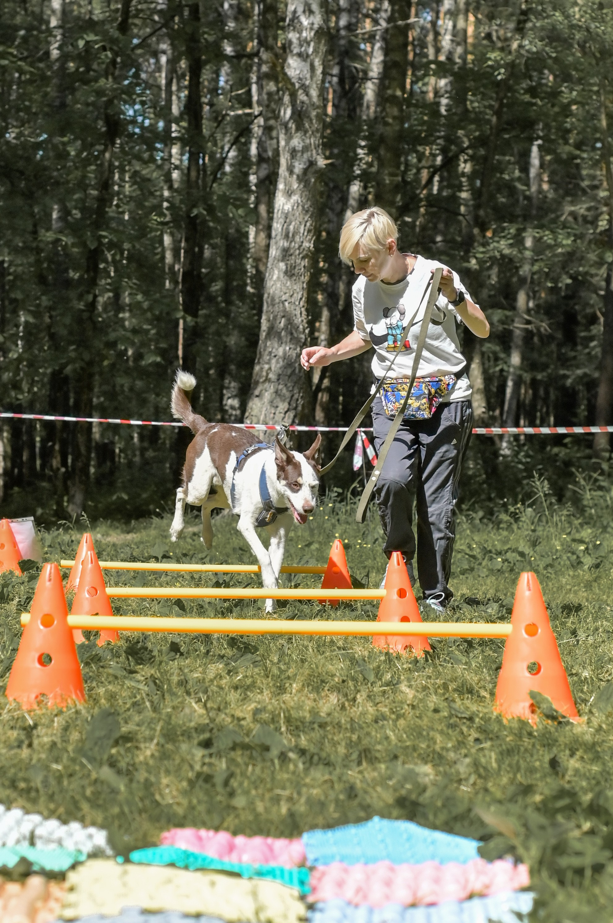 Кинологические соревнования. Семейный и репортажный фотограф в Москве Анастасия Трубкина