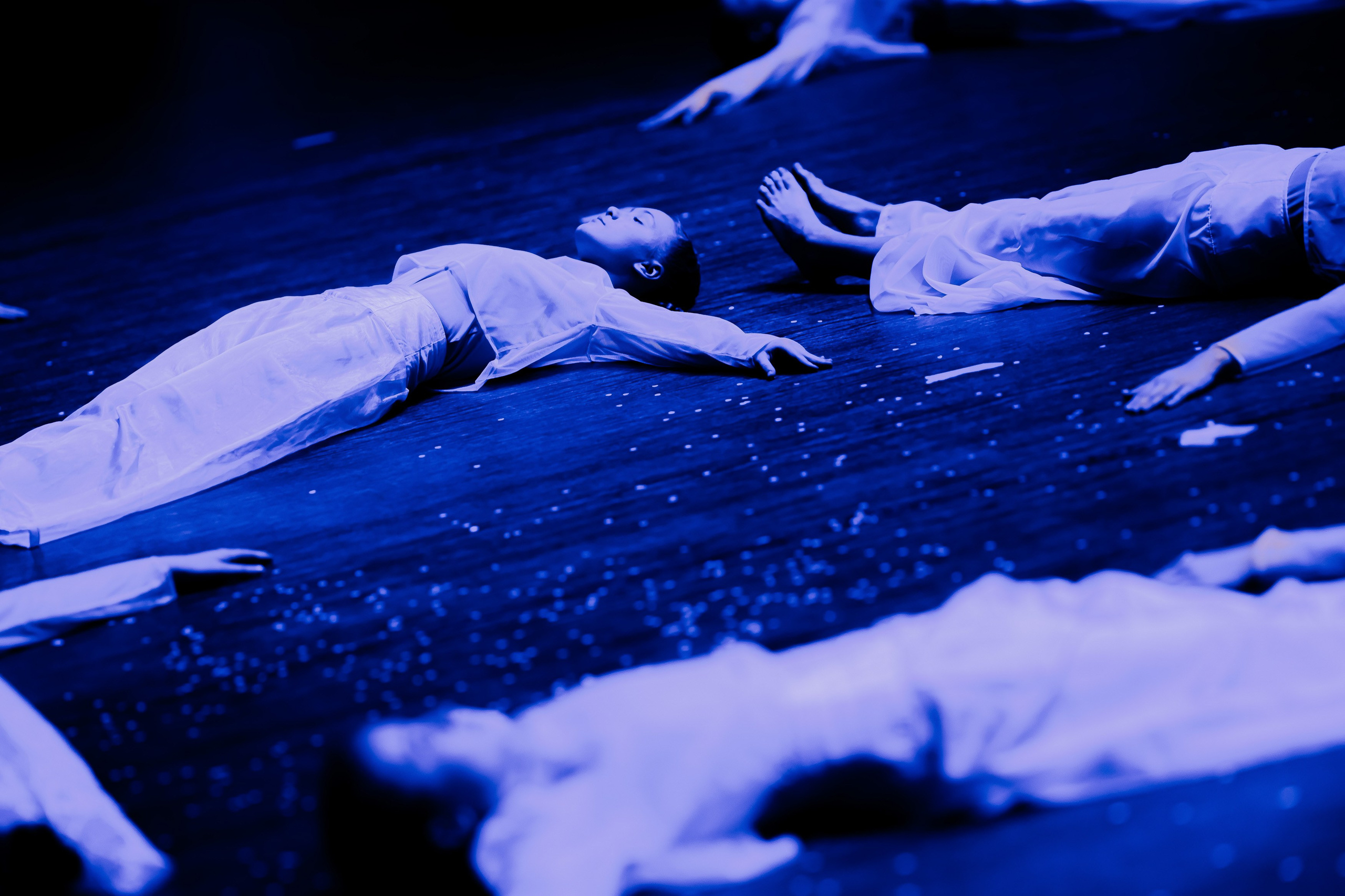 Phoenix Anniversary, 27/03/2026. Фотограф Кирилл Сафонов