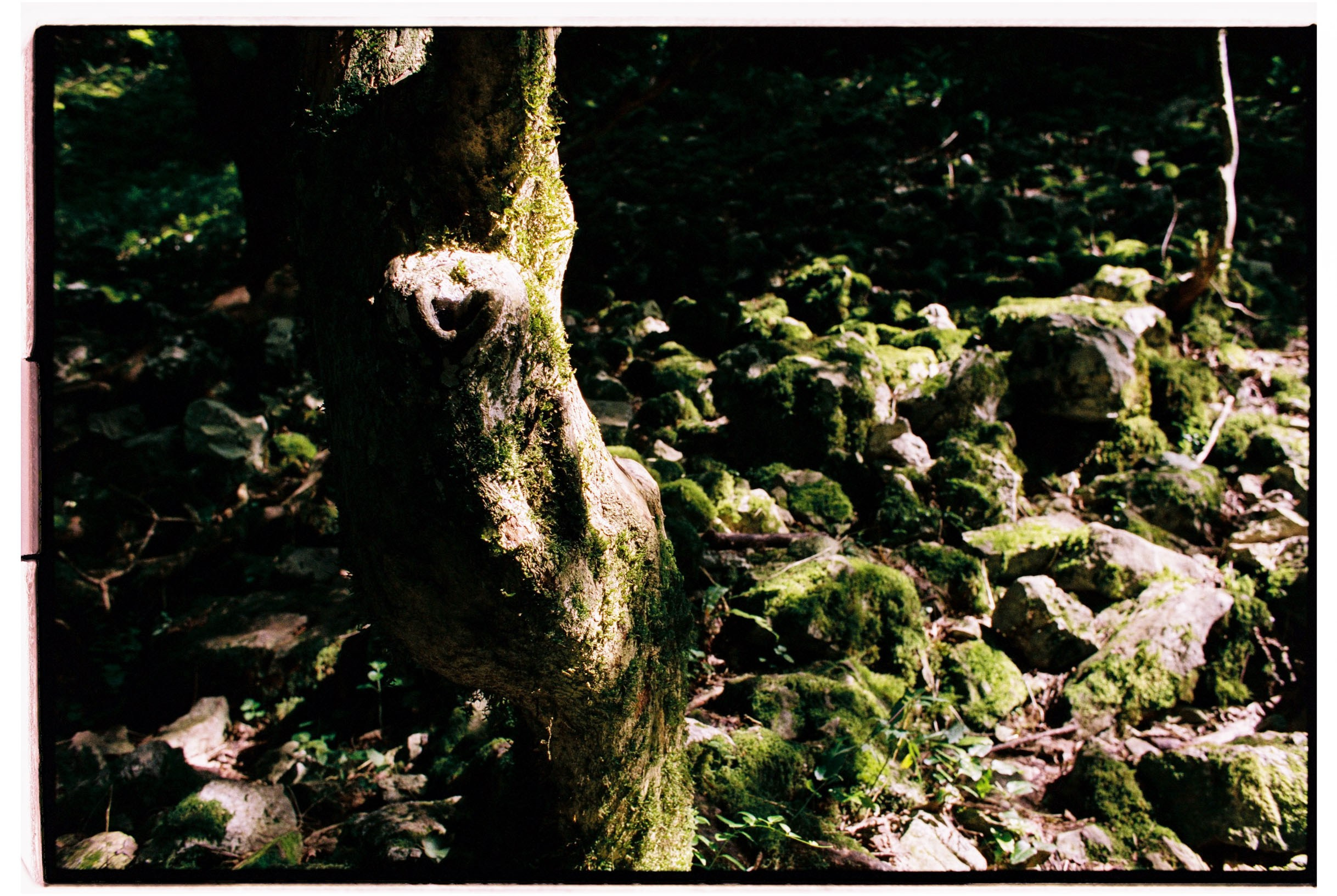 Abkhazia-2023. Никита Демидов. Nikita Demidov