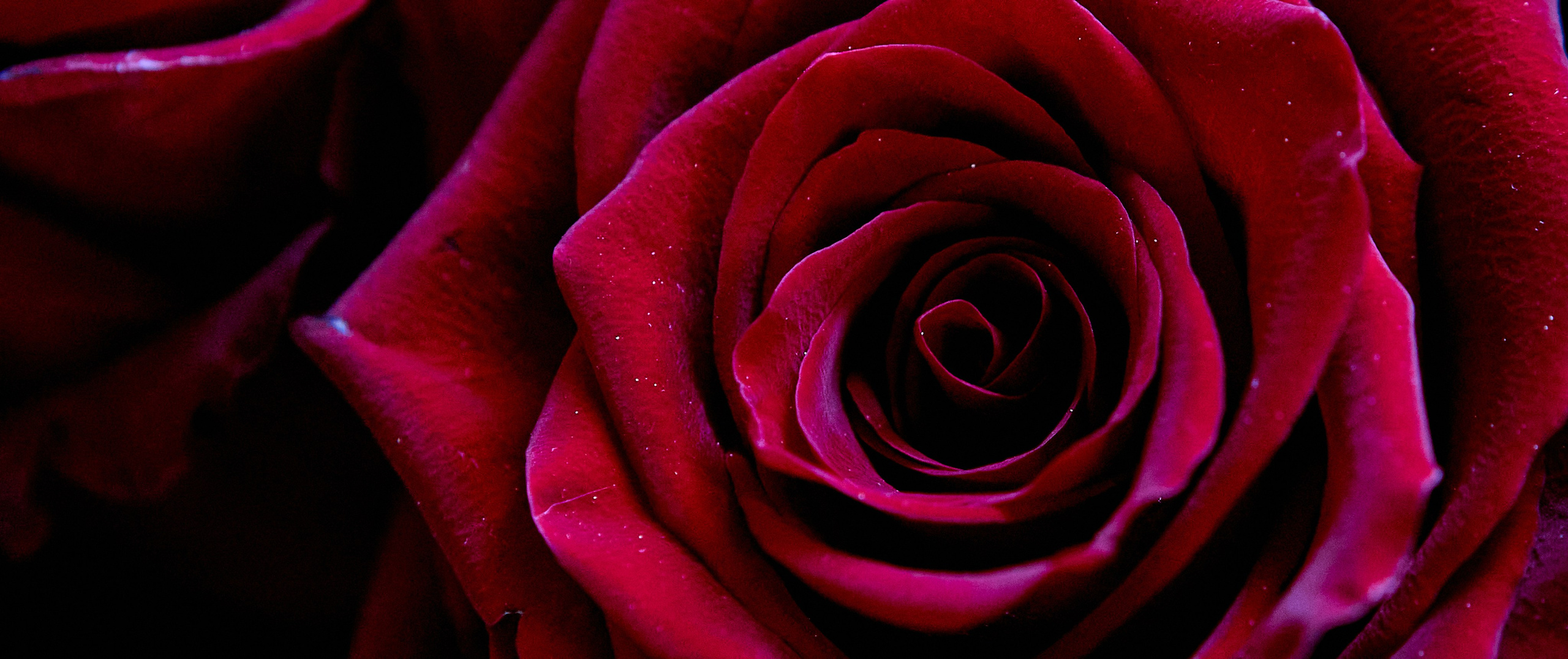 Фотографии Литургии в Праздник Святых Жен Мироносиц