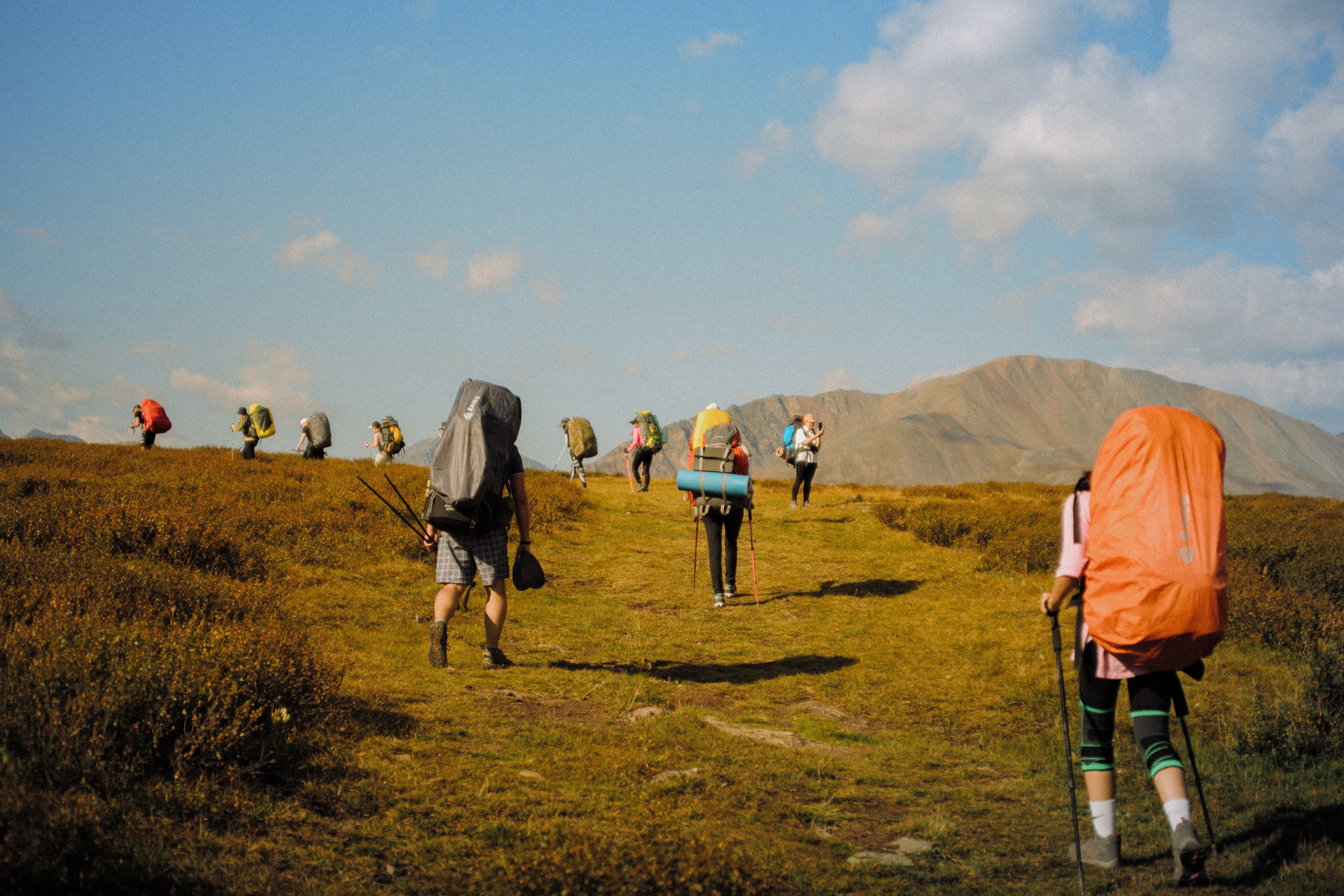Шавлинские. Главная