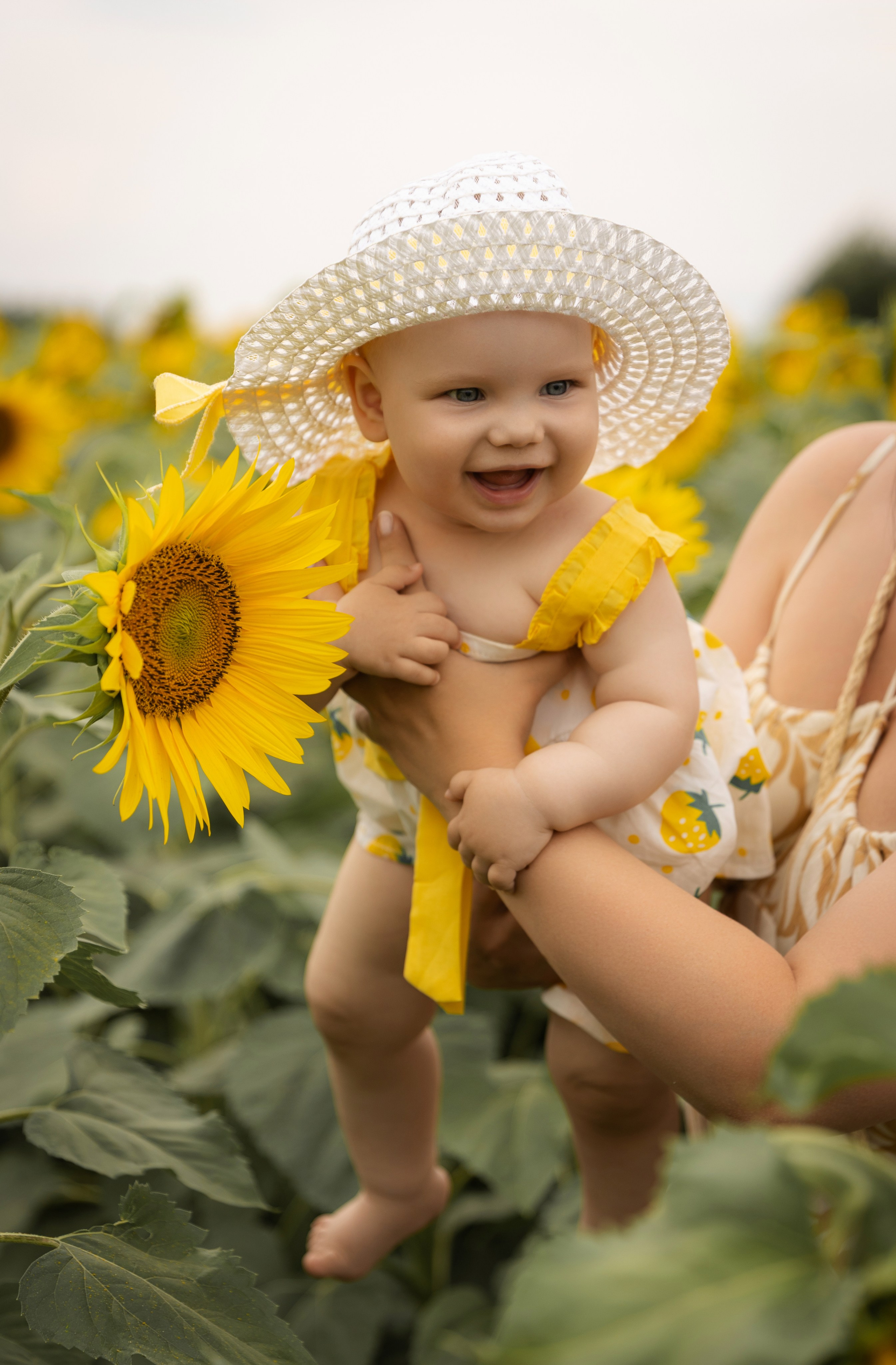 Подсолнухи. Фотограф в Нижнем Новгороде, Дзержинске Олеся Хозяева