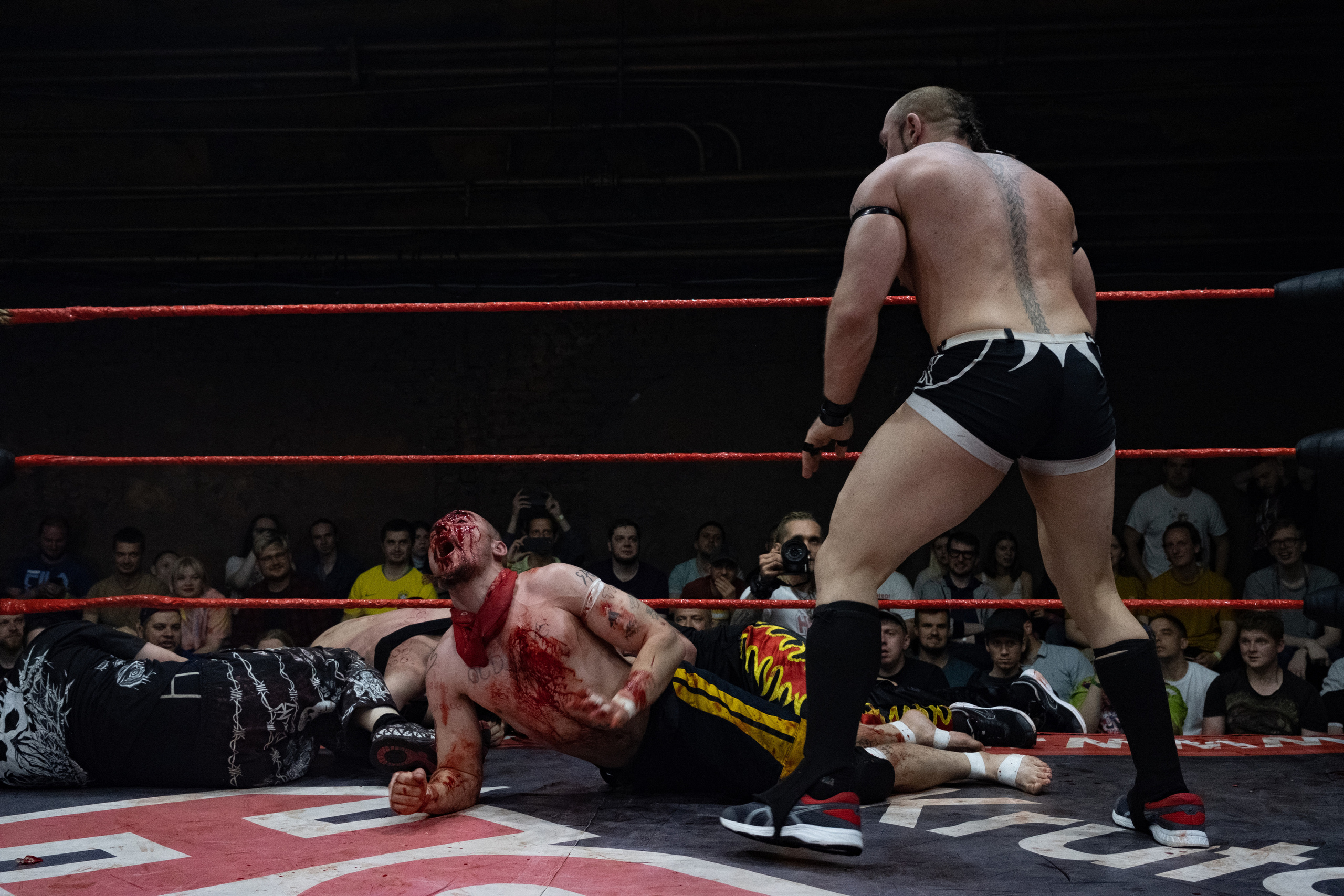 НФР Реслинг. Репортажный фотограф в Санкт-Петербурге Максим Варбулайнен