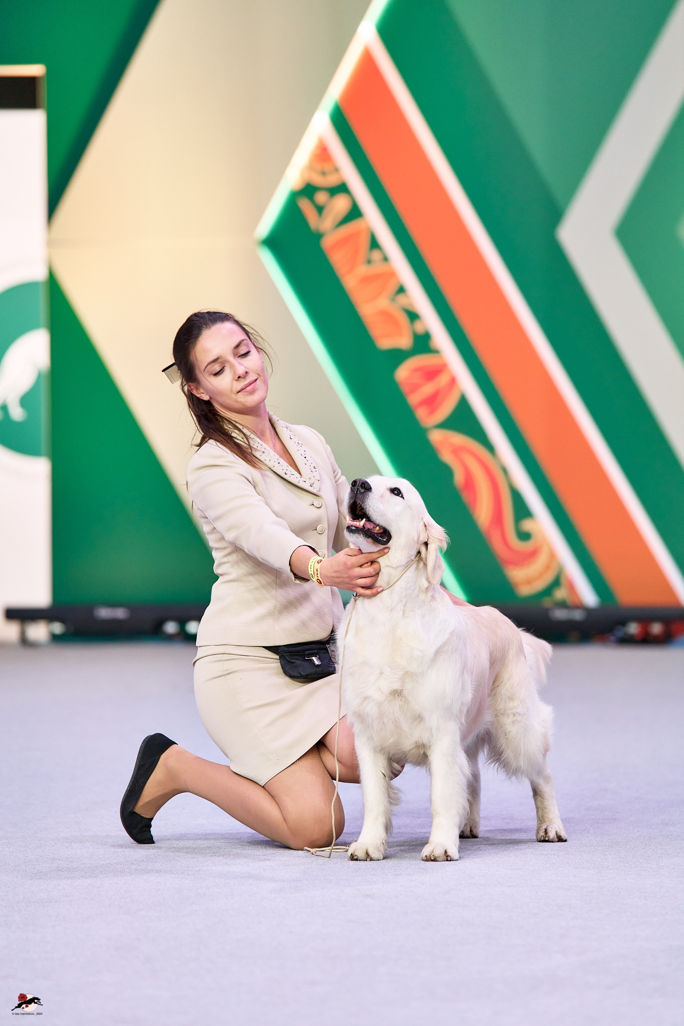 17.11.2024 «ЕВРАЗИЯ. КУБОК СНГ 2024»