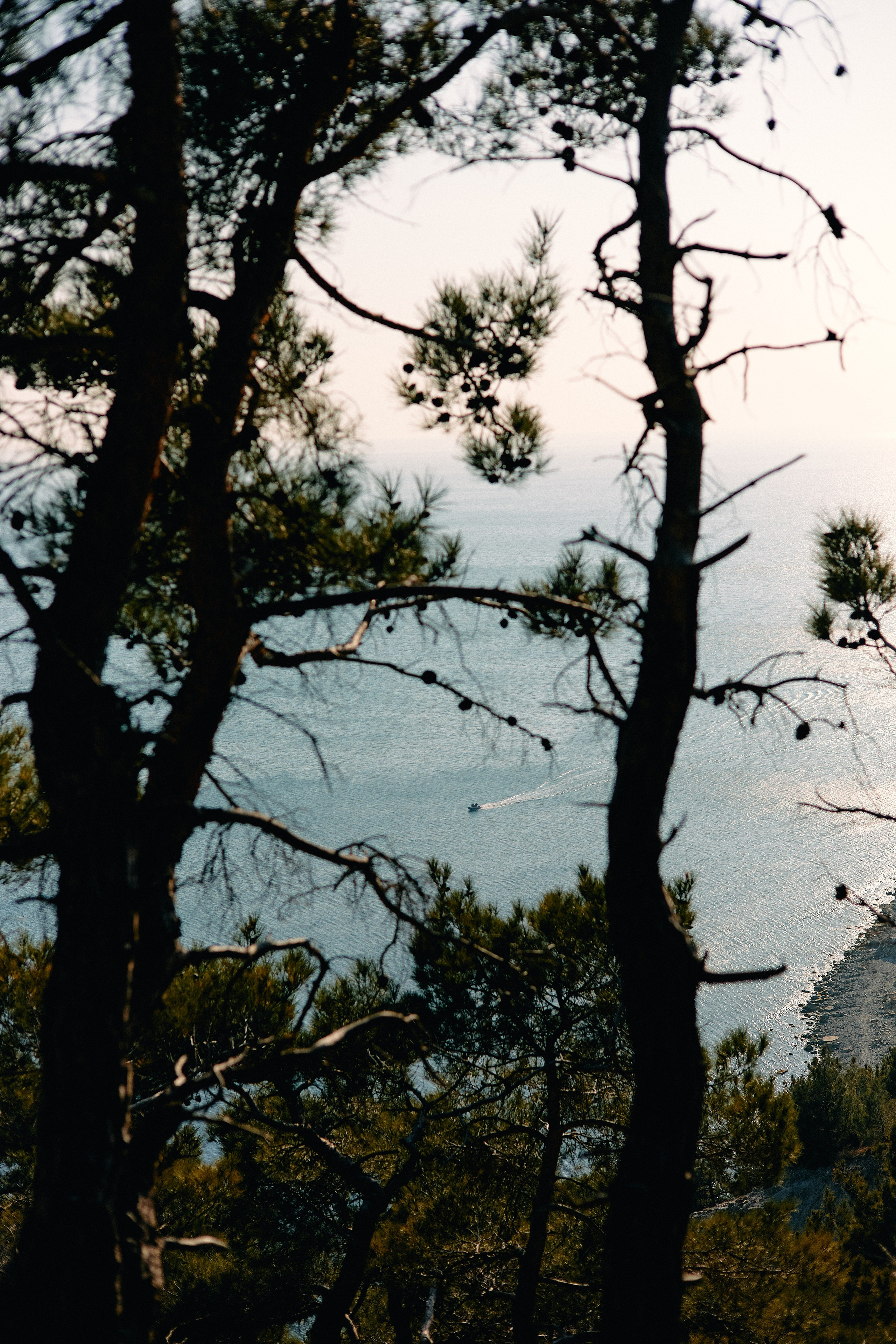 Юг России. Профессиональный Фотограф во Владимире, в Москве и в Суздале — Полина Романычева