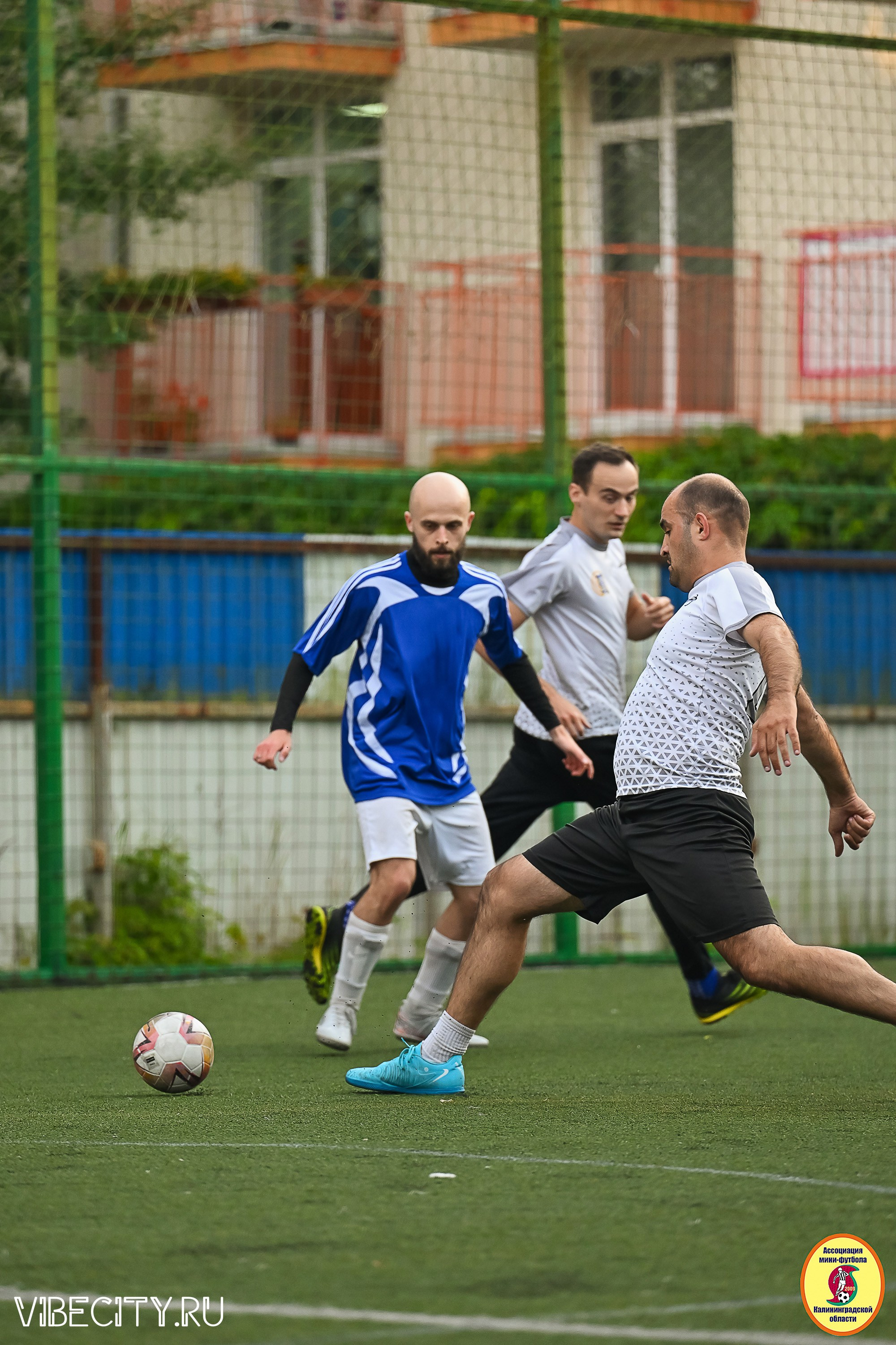 ИГРЫ ПЛЕЙ-ОФФ ПЕРВОГО ДИВИЗИОНА МИНИ-ФУТБОЛЬНОЙ ЛИГИ. VIBECITY.RU Вайб Сити Ру Фоторепортажи Фотоотчеты Калининград