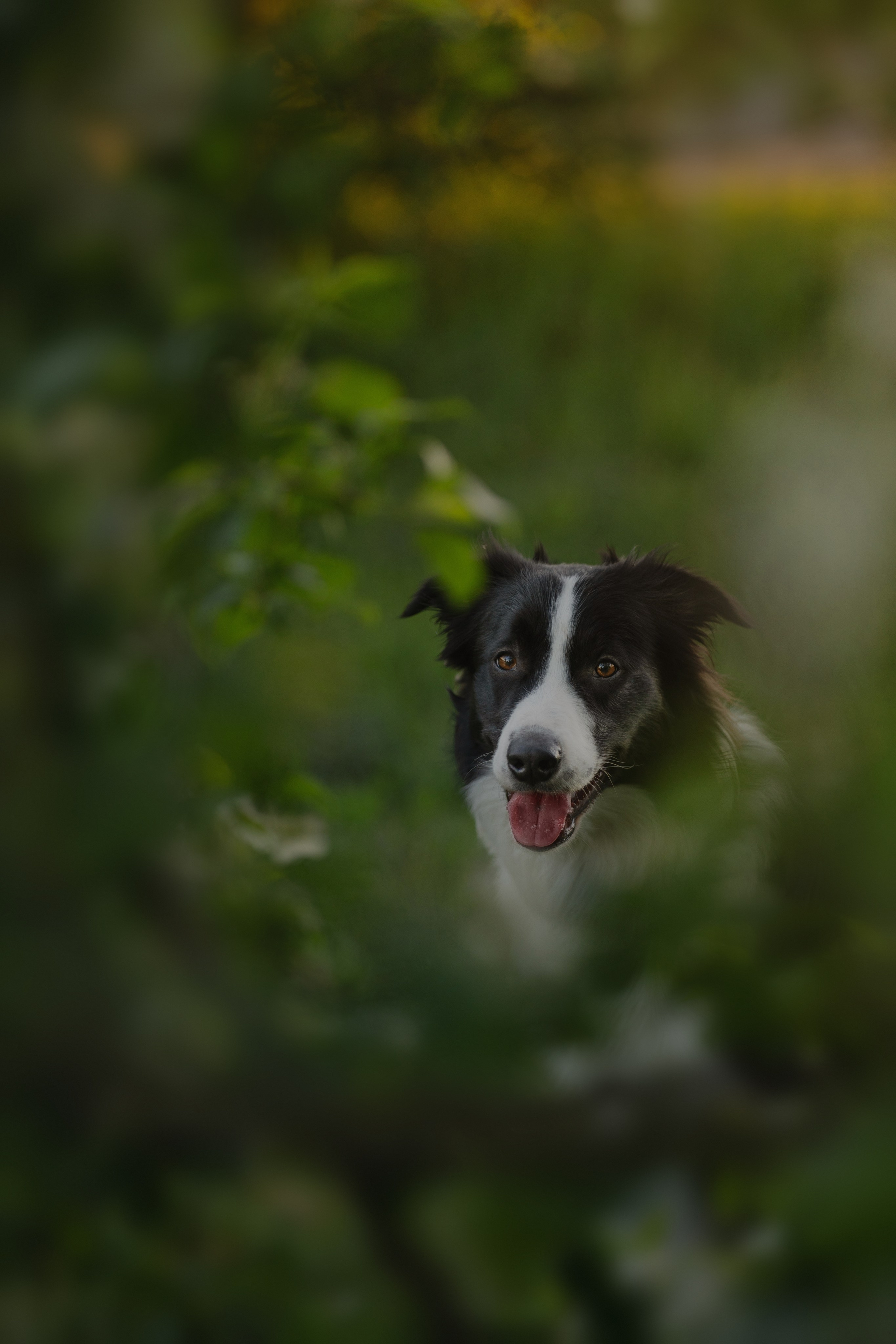 Люба + Близ (рассветная съемка). Kameramotor74