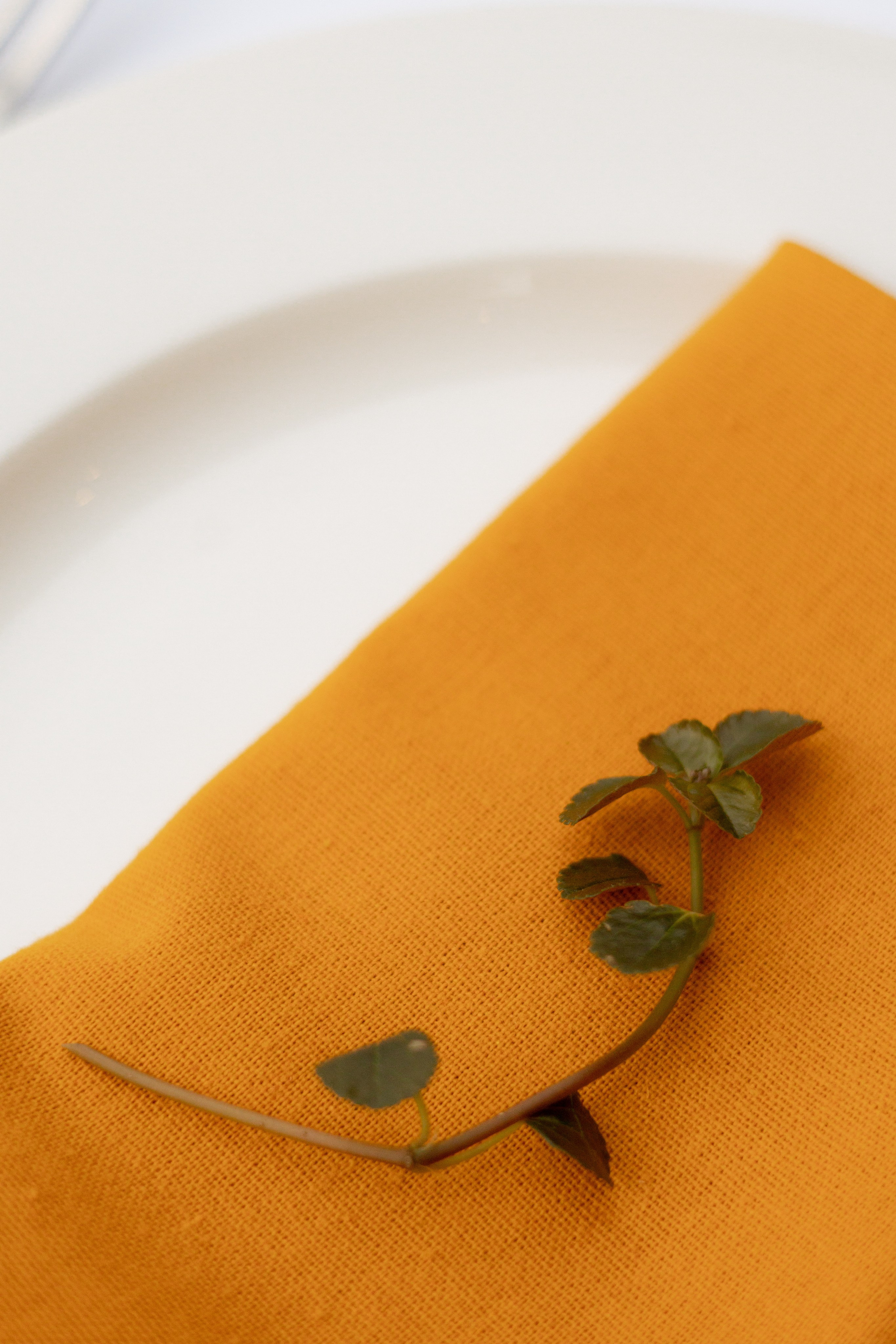 Мужской ДР. ЦУМ. «Buro». Оформление свадеб, декор свадеб Вера Маркова, Москва