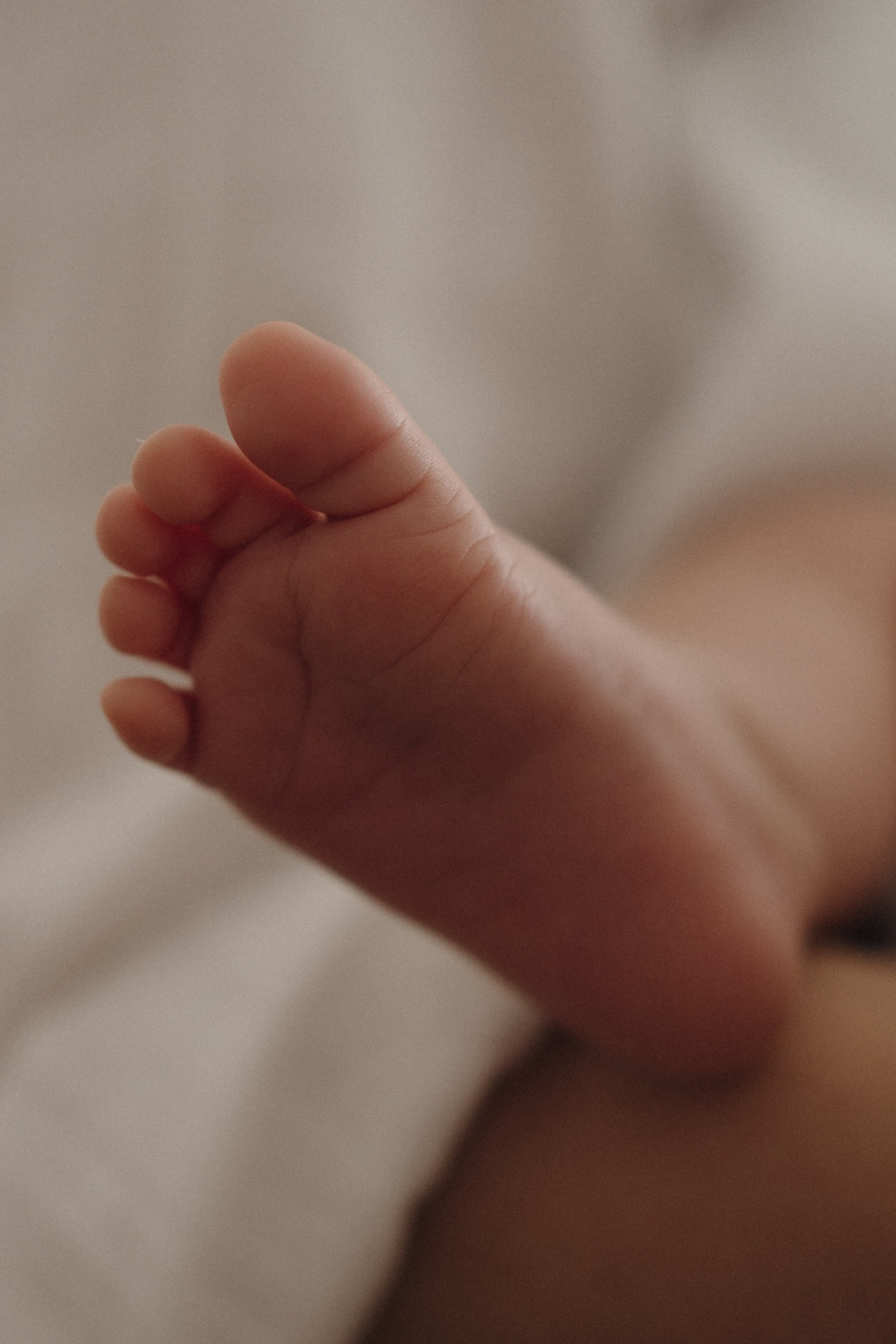 Домашняя фотосессия Эммы (1 месяц). Свадебный фотограф в Краснодаре и Сочи Винидиктова Екатерина