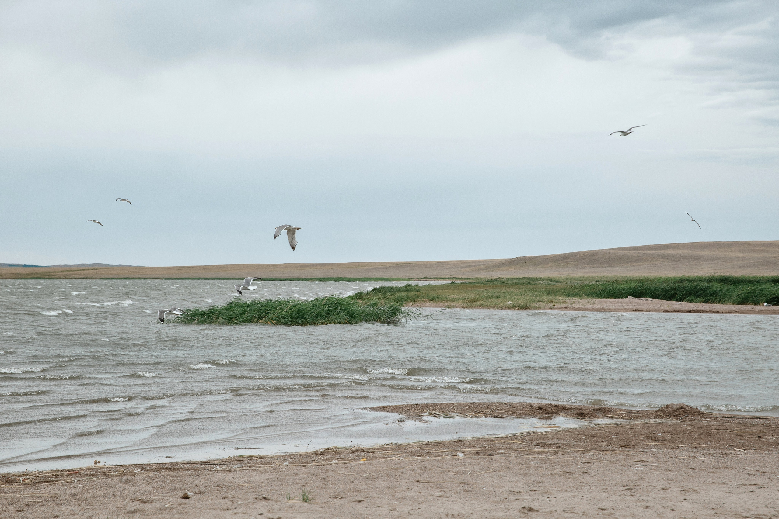 Pink lake. Lena Sorokina photographer, Astana, Kazakhstan
