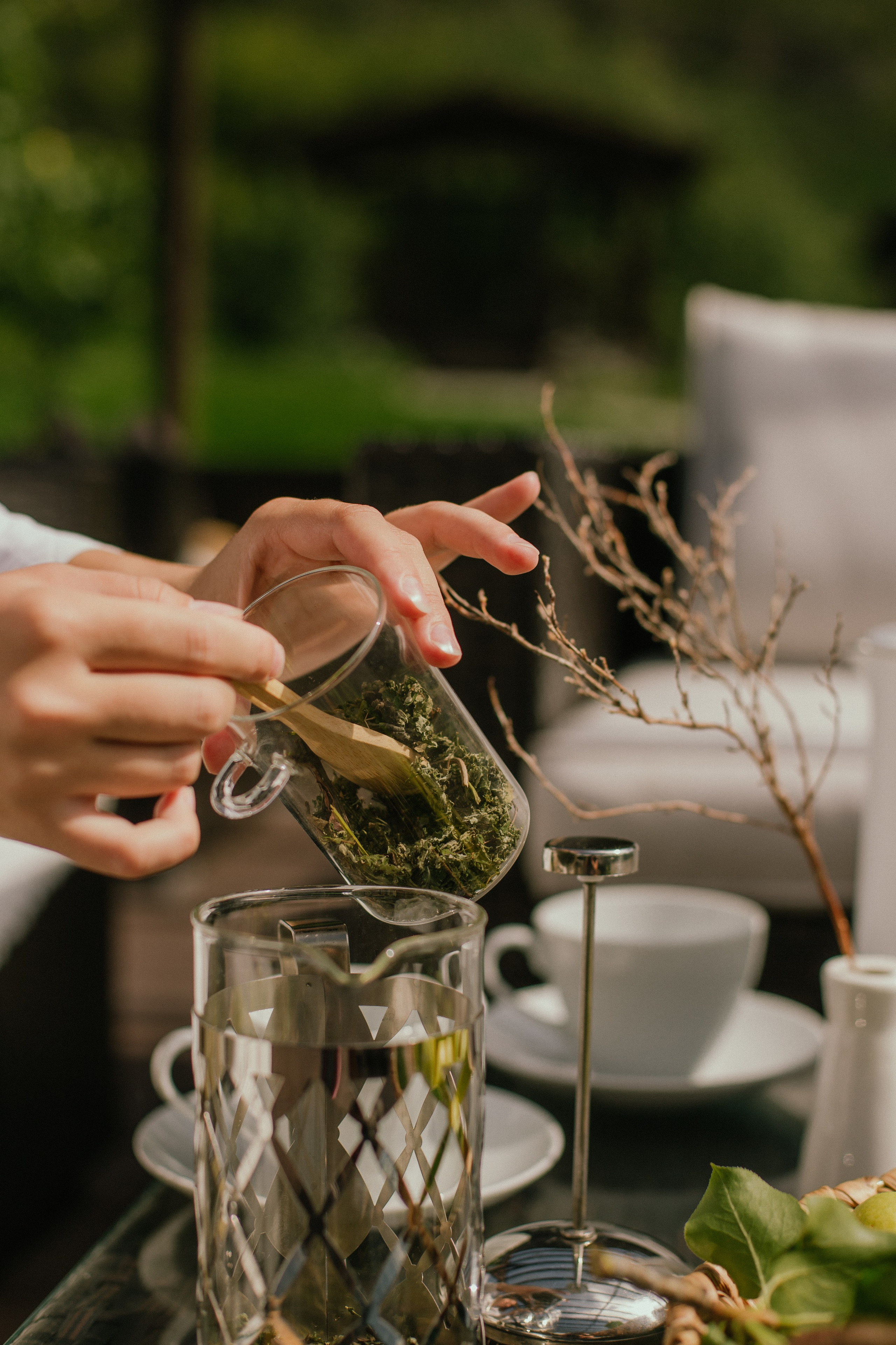 Контент для отелей. Фотограф Горный Алтай