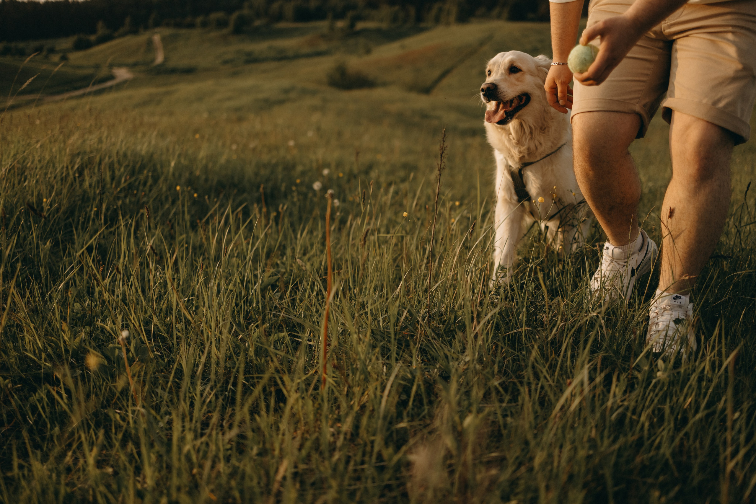 Милка и ребята. Фотограф — Анималист | Санкт-Петербург