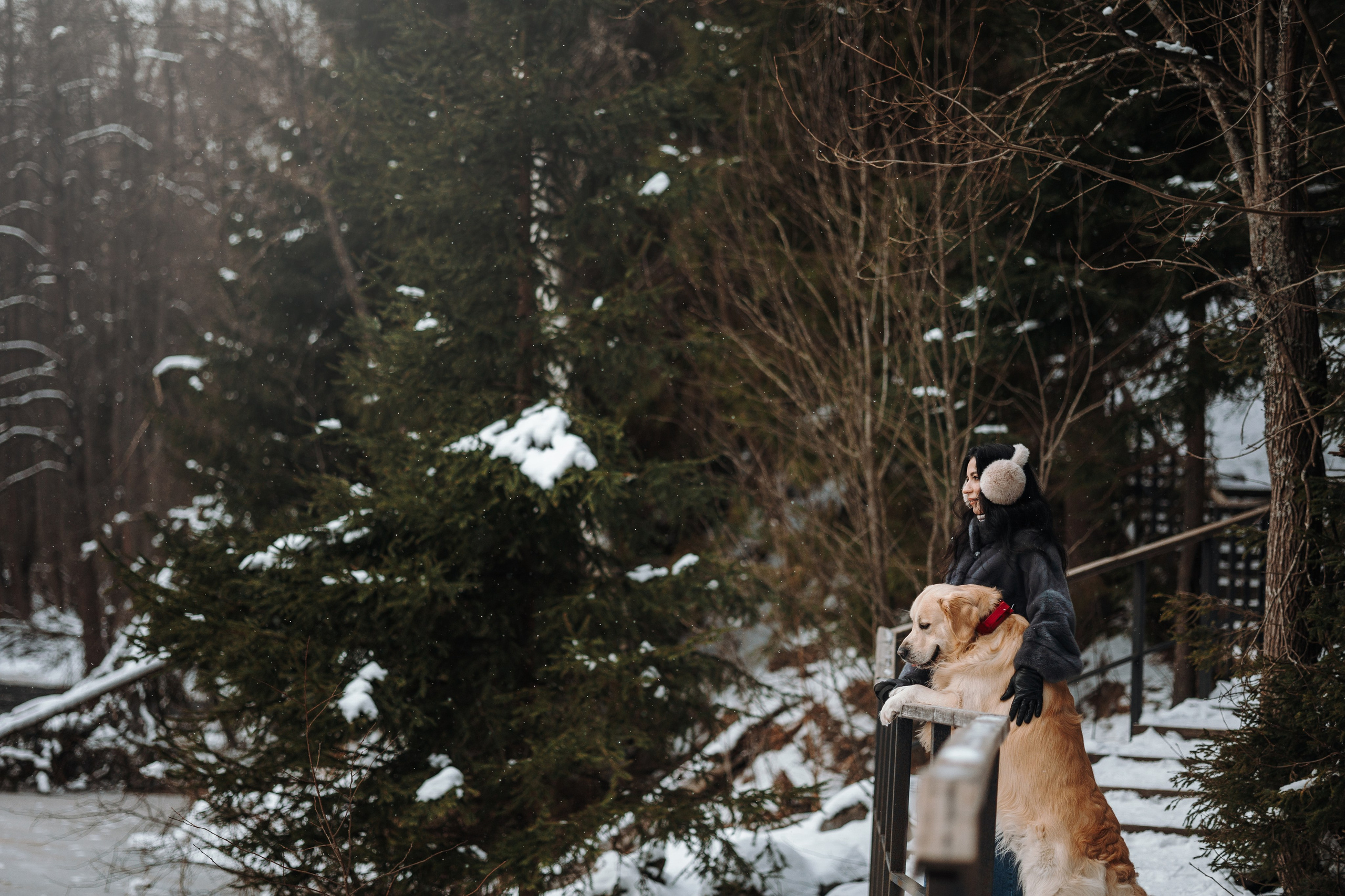 Вика и Лёва. Фотограф — Анималист | Санкт-Петербург
