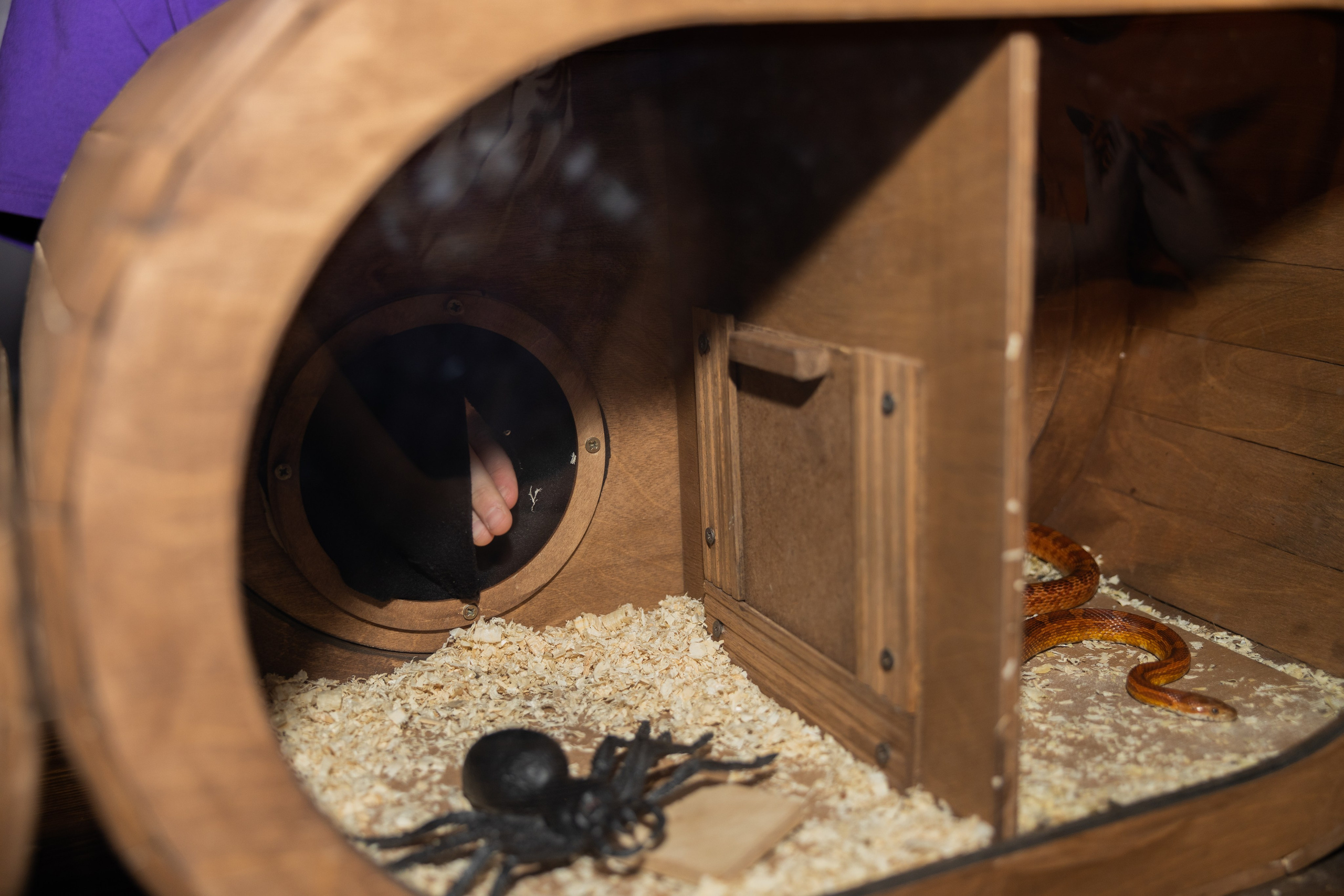 Дети. Свадебный фотограф