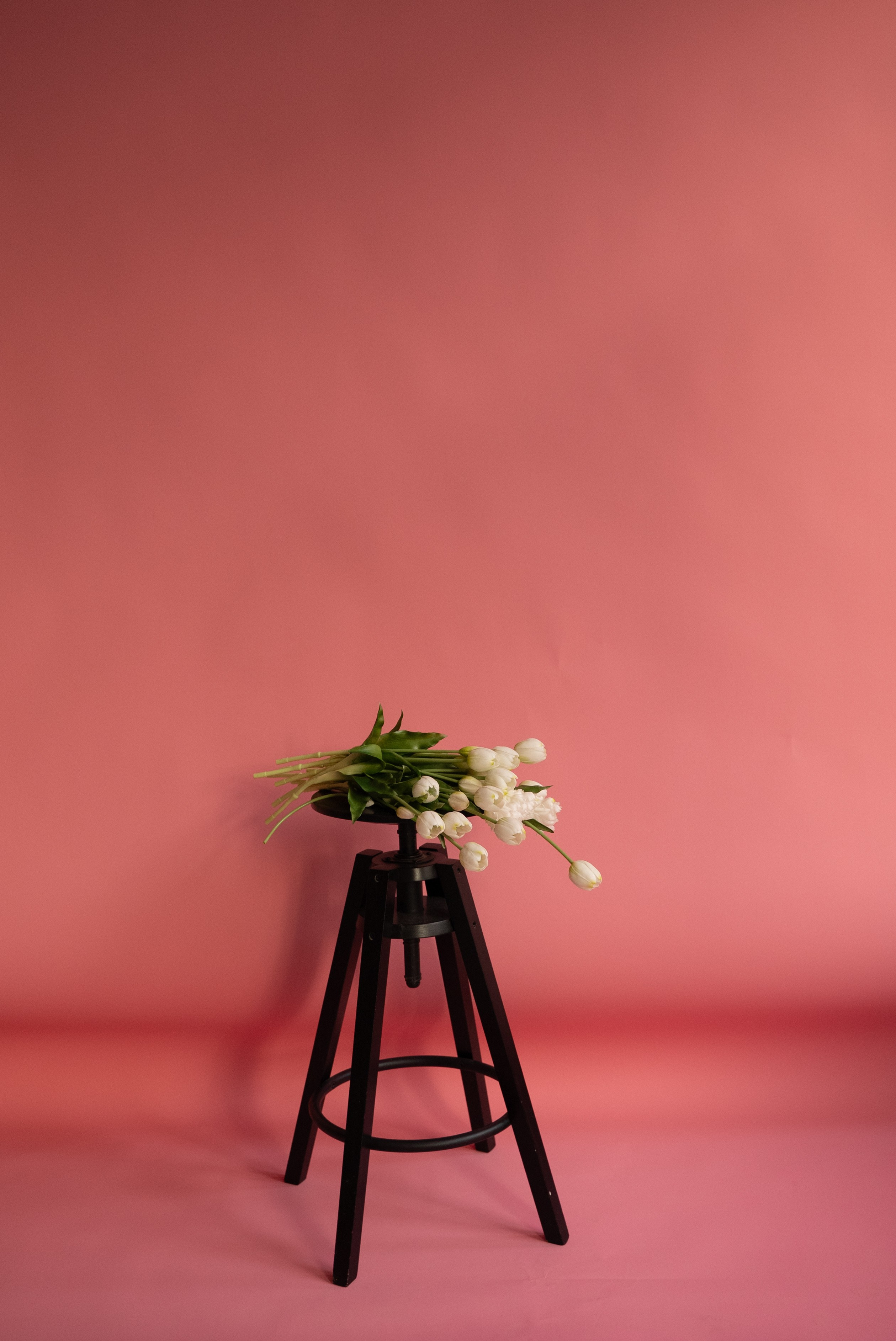 Фотостудия в Люберцах