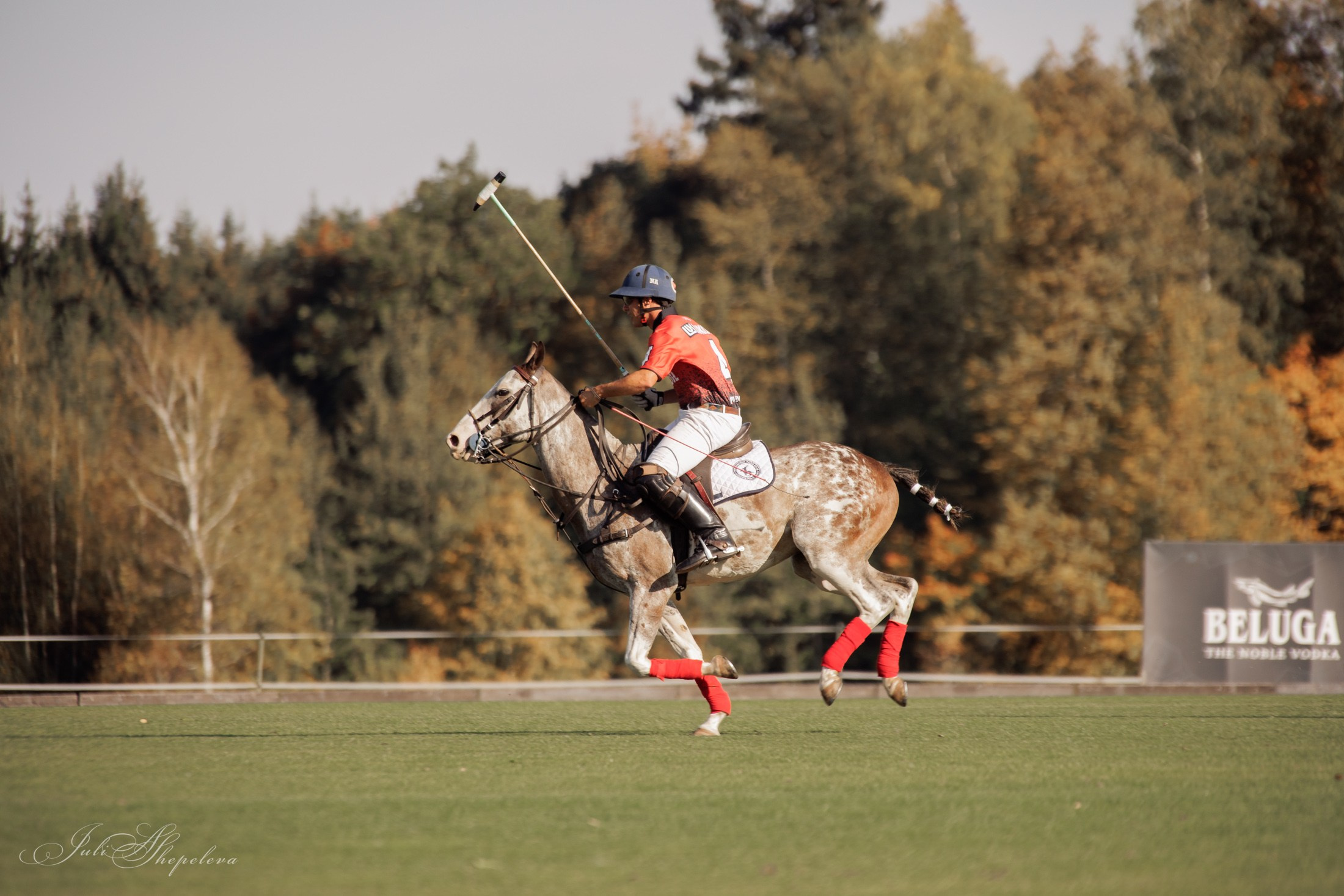 Осенний кубок по конному поло. Детская Конная фотография в Москве Юлия Шепелева
