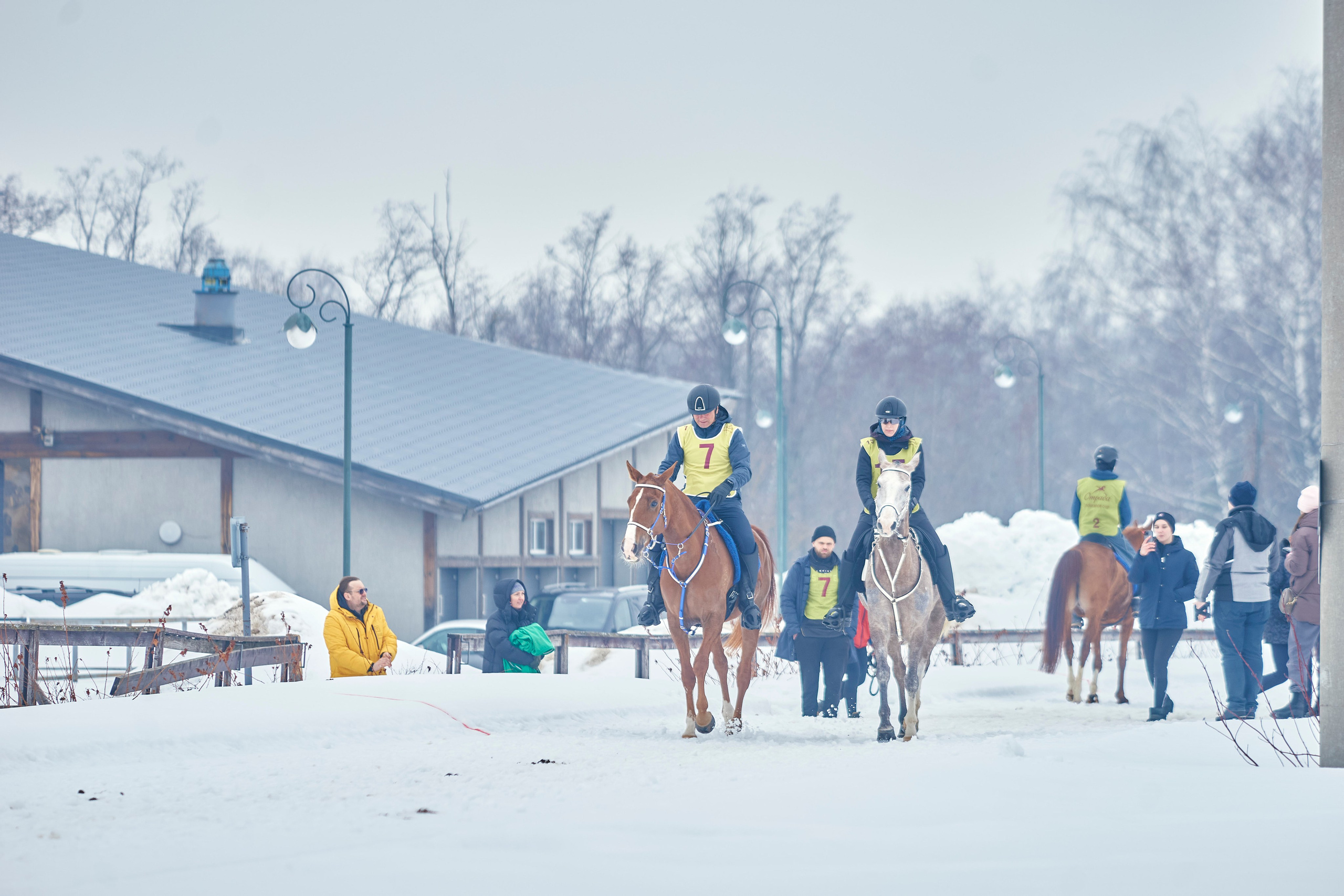 HORSE RACING. Фотограф Наталья Леонова