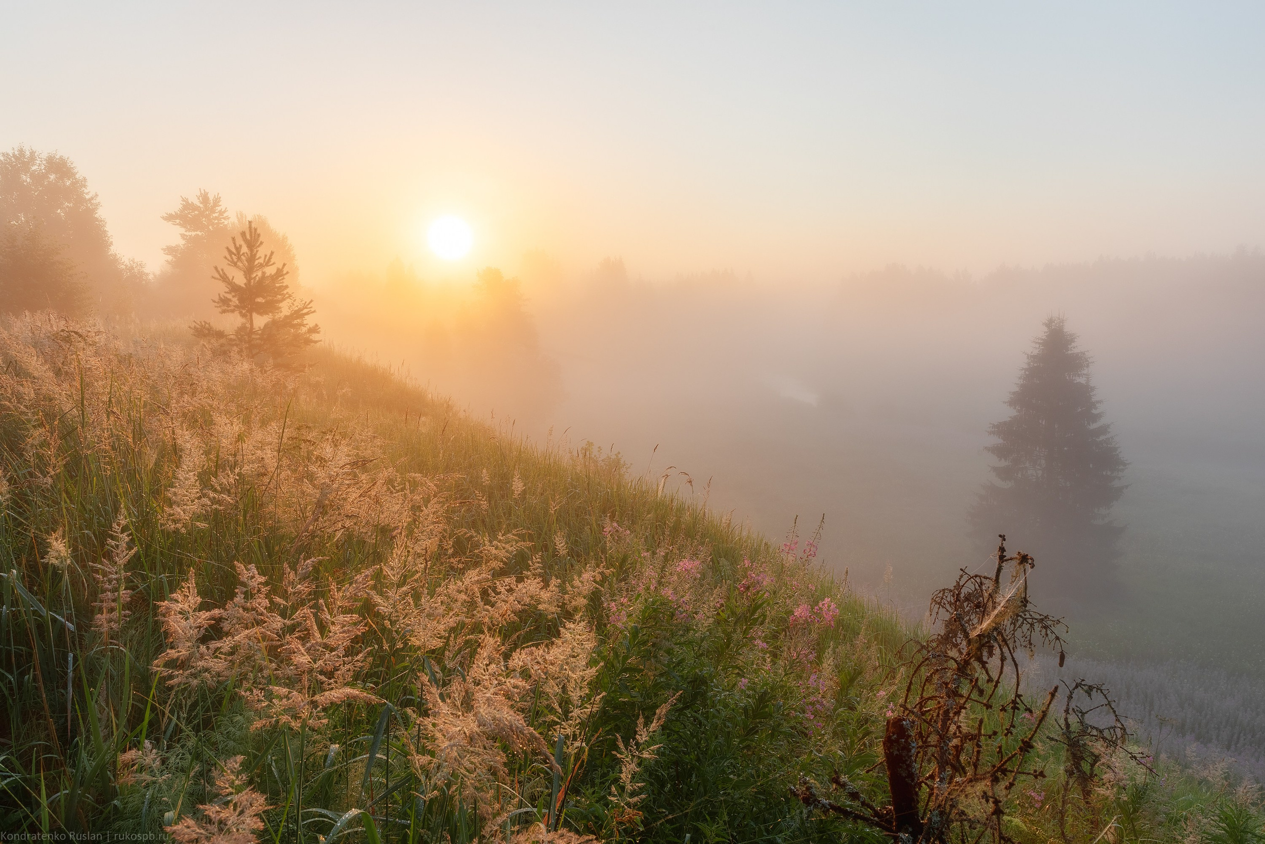 Ленинградская область. Архитектурный и пейзажный фотограф Кондратенко Руслан, Санкт-Петербург