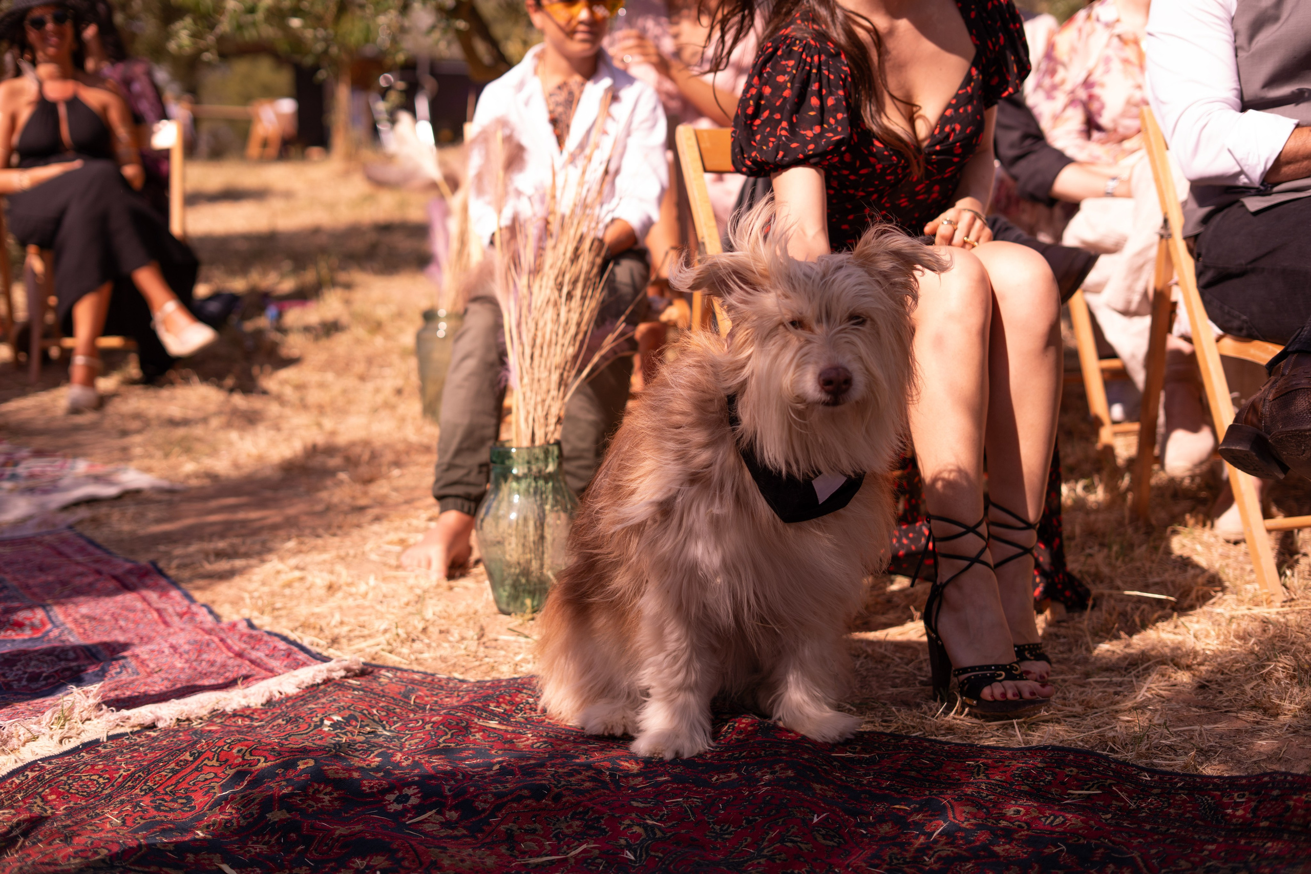 Stasy and Roberto. Wedding Photographer in Barcelona and Medellin