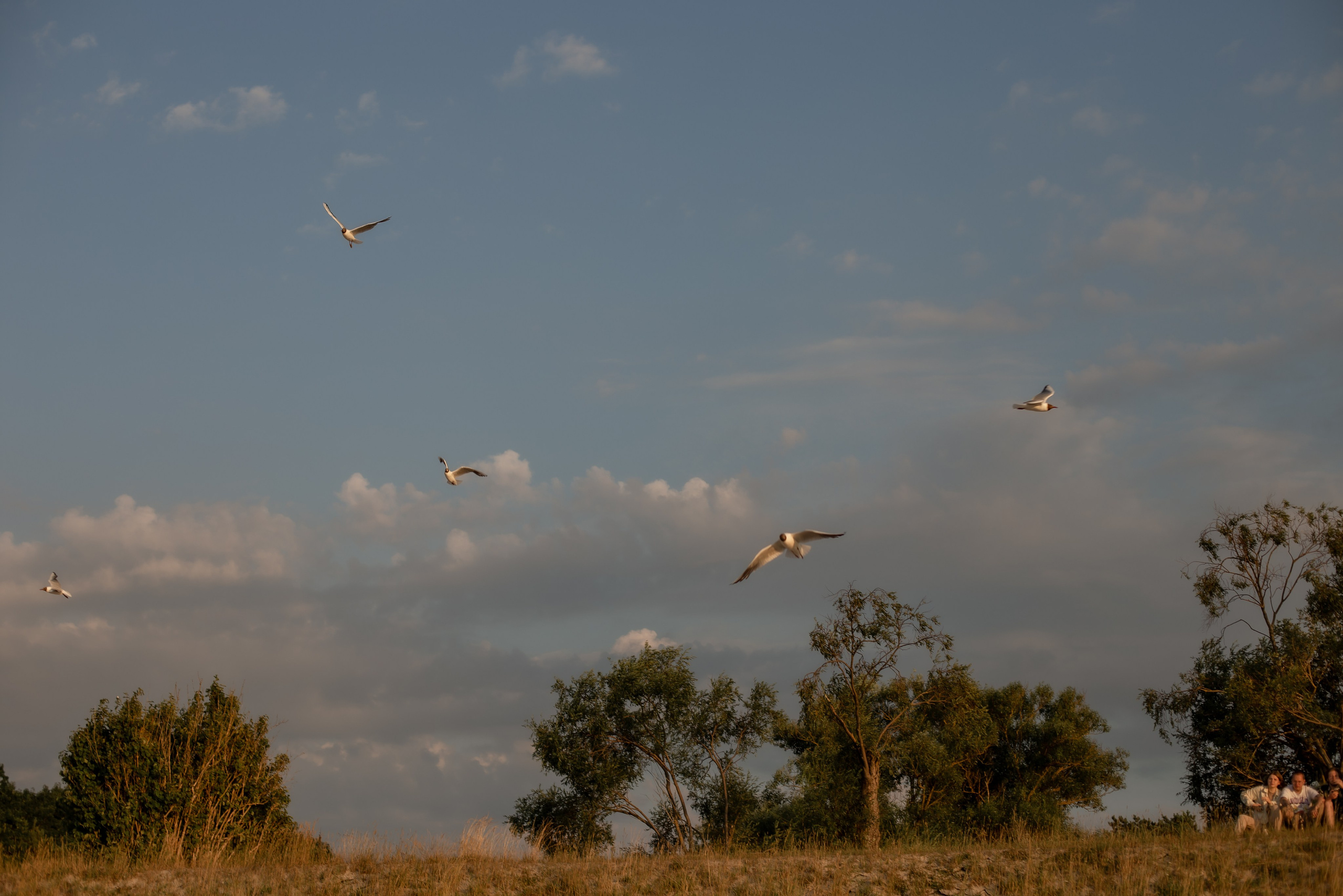 Есеня и родители. Малиновка. Фотограф в Калининграде Решетникова Алина