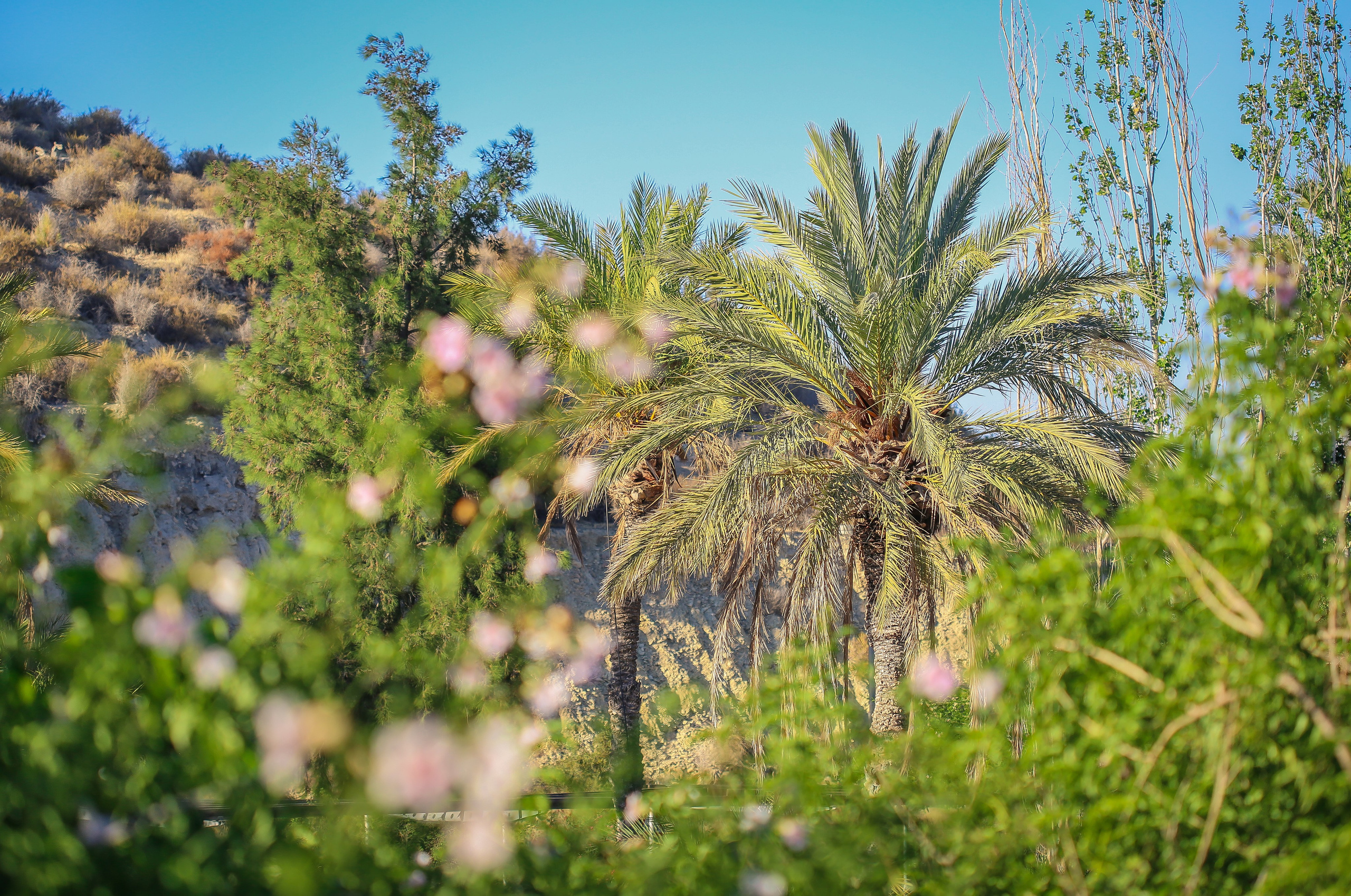 Испания: Мурсия и Арчена — взгляд с дистанции. Дарья Письменюк / Darya Leitstern — фотограф, музыкант, журналист, путешественник