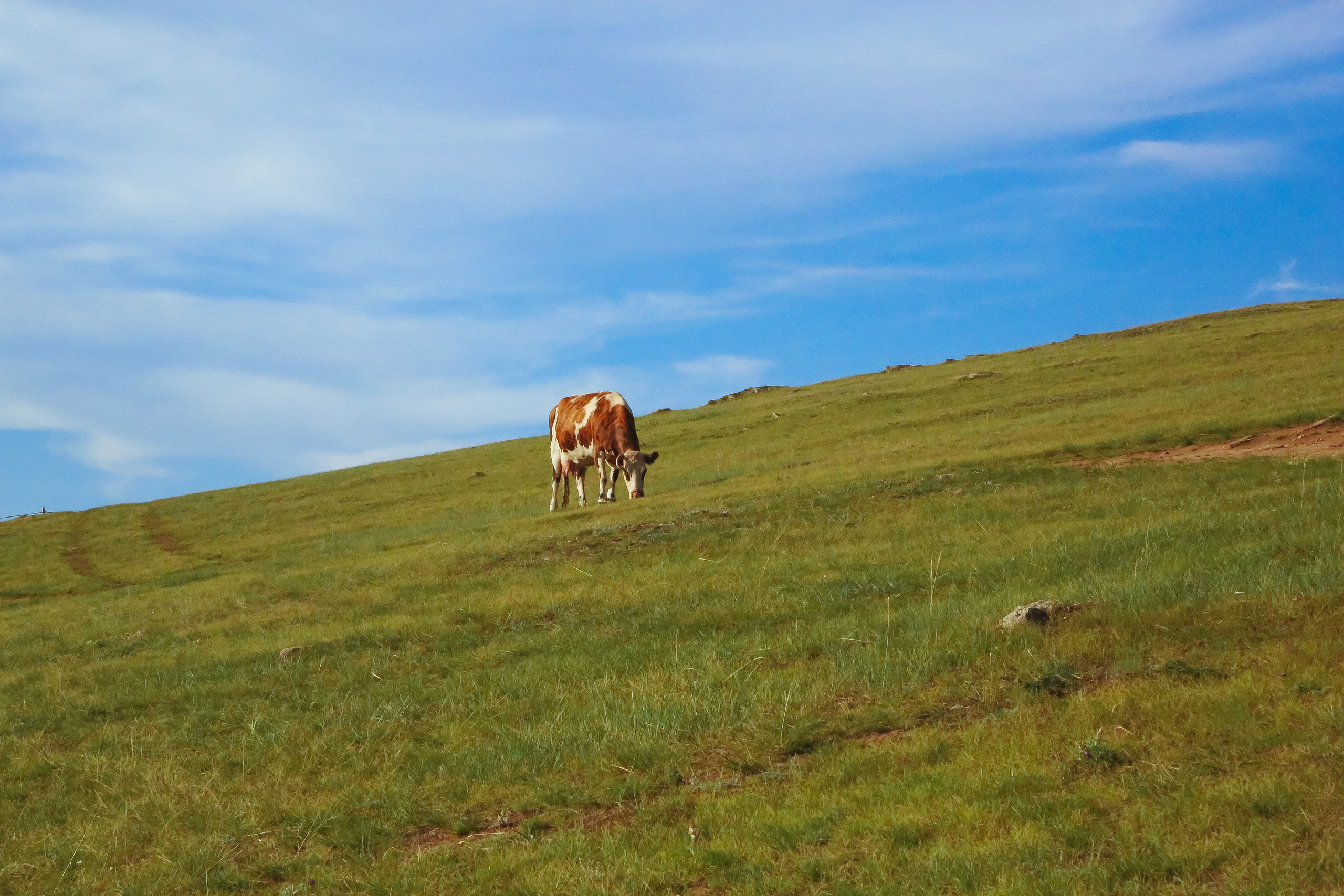 Байкал летний: легенды и святыни. Дарья Письменюк / Darya Leitstern — фотограф, музыкант, журналист, путешественник