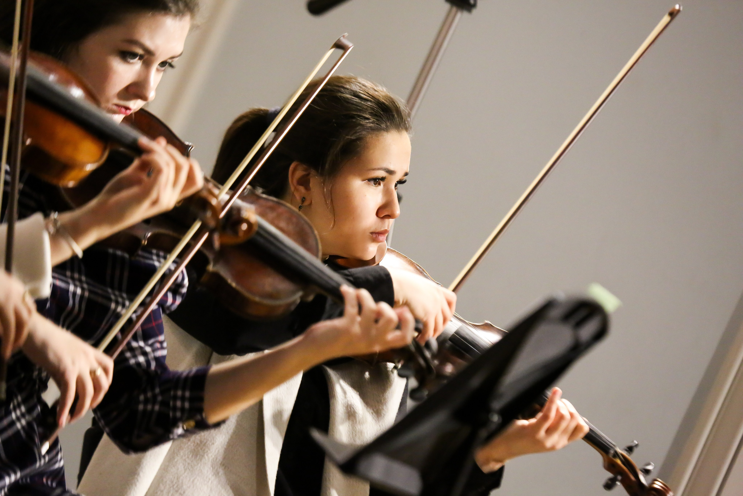 Концерт с Квартетом им. Бородина. Дарья Письменюк / Darya Leitstern — фотограф, музыкант, журналист, путешественник