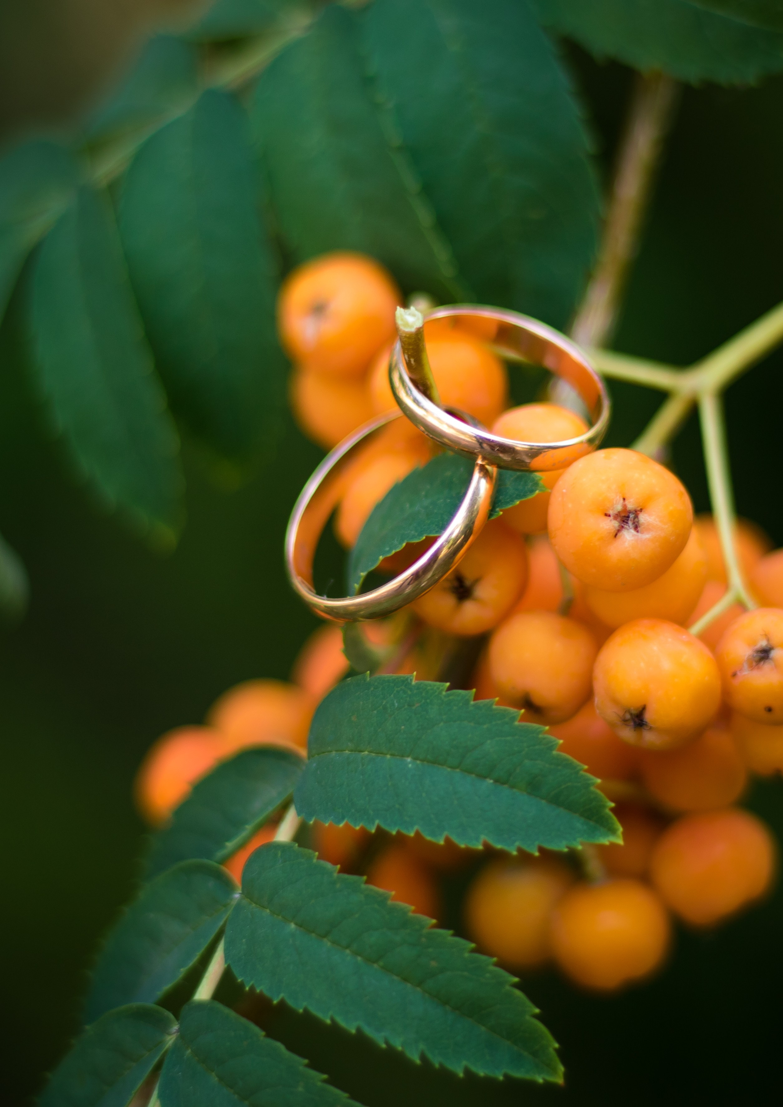 Фотографы. Организатор праздников. Ведущая Марина Гребенникова