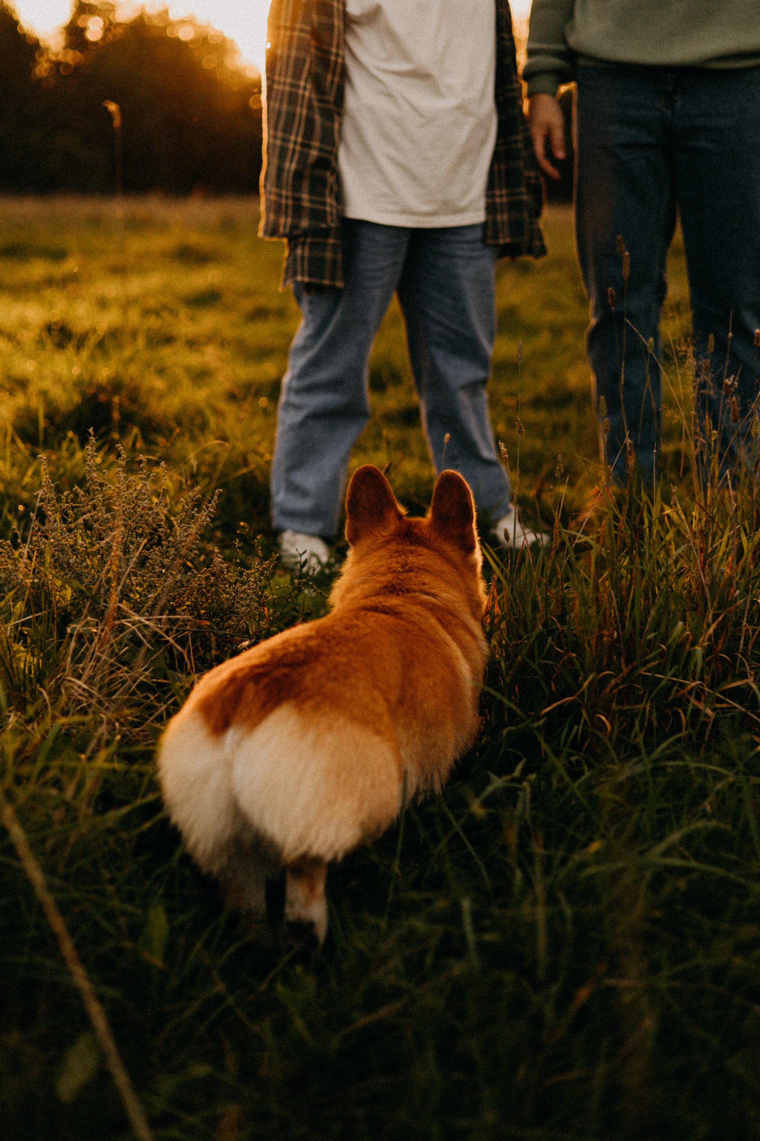 Заметили радугу?. Фотограф Настя Леонова