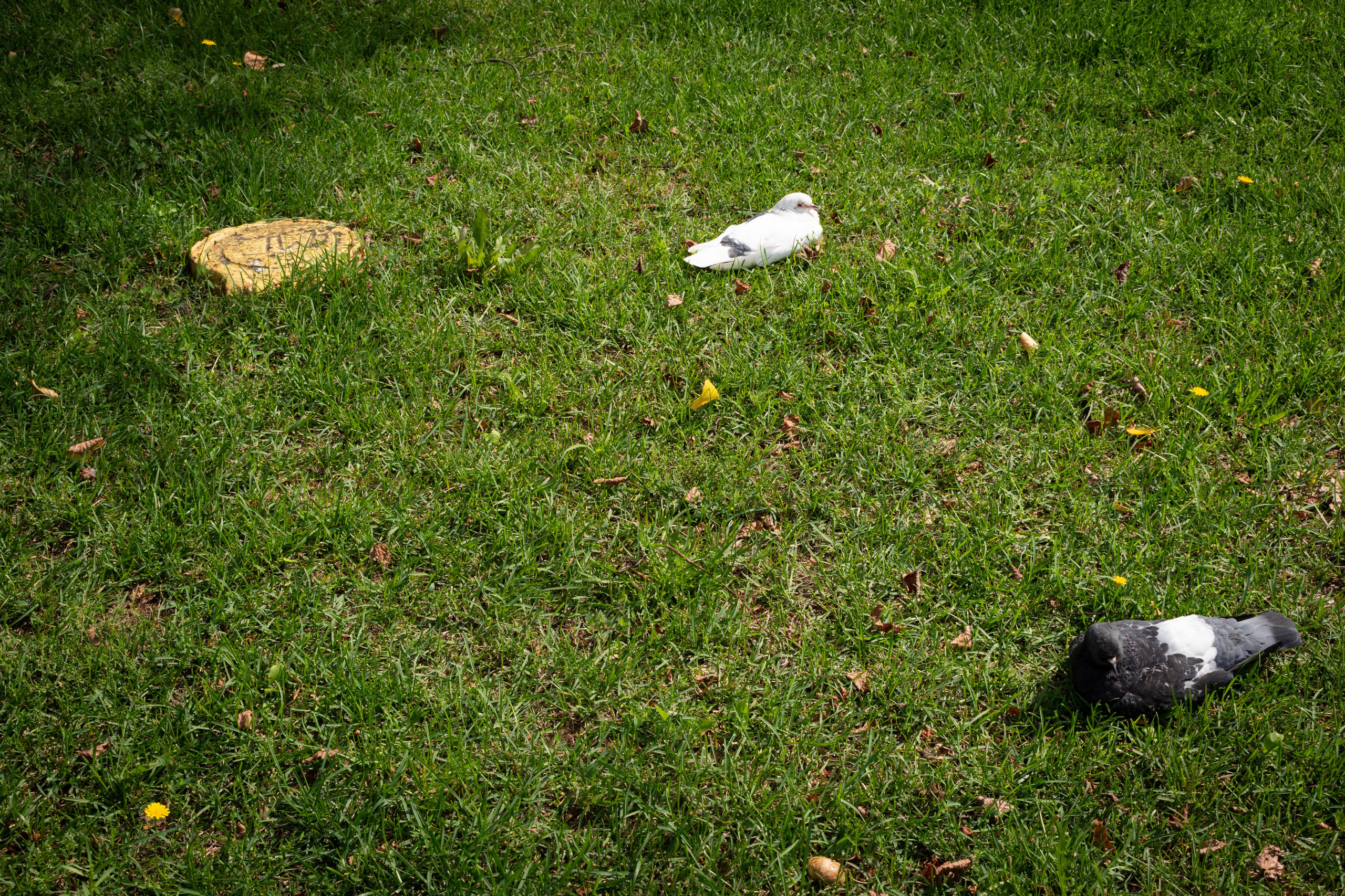 «Леди на велосипеде» — велопробег по г. Жуковскому 2025. Репортажный фотограф Сыбер Мартти