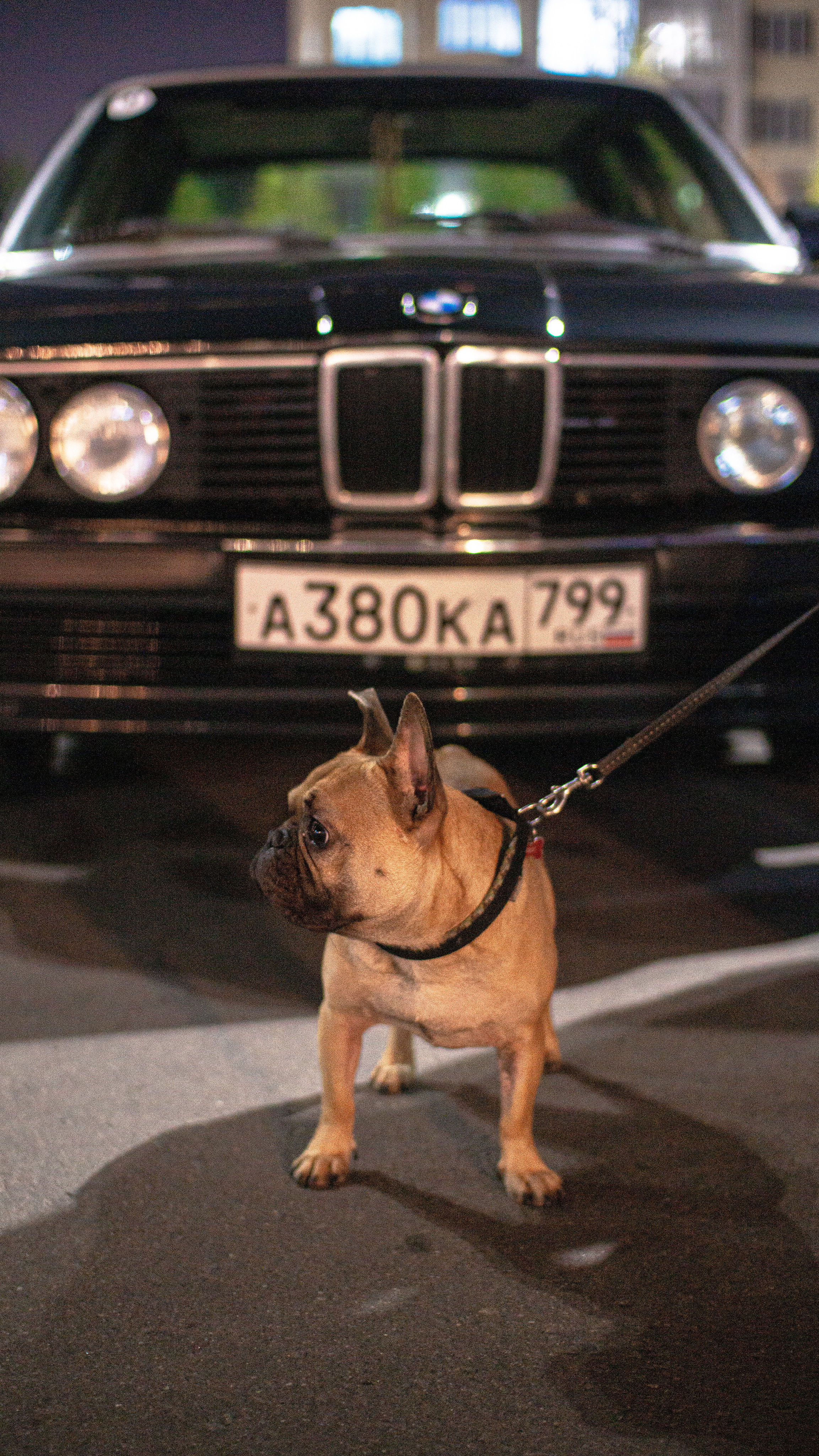Вешки карс кофе, cars and coffe в Москве. Жуков Илья  свадебный фотограф в Москве