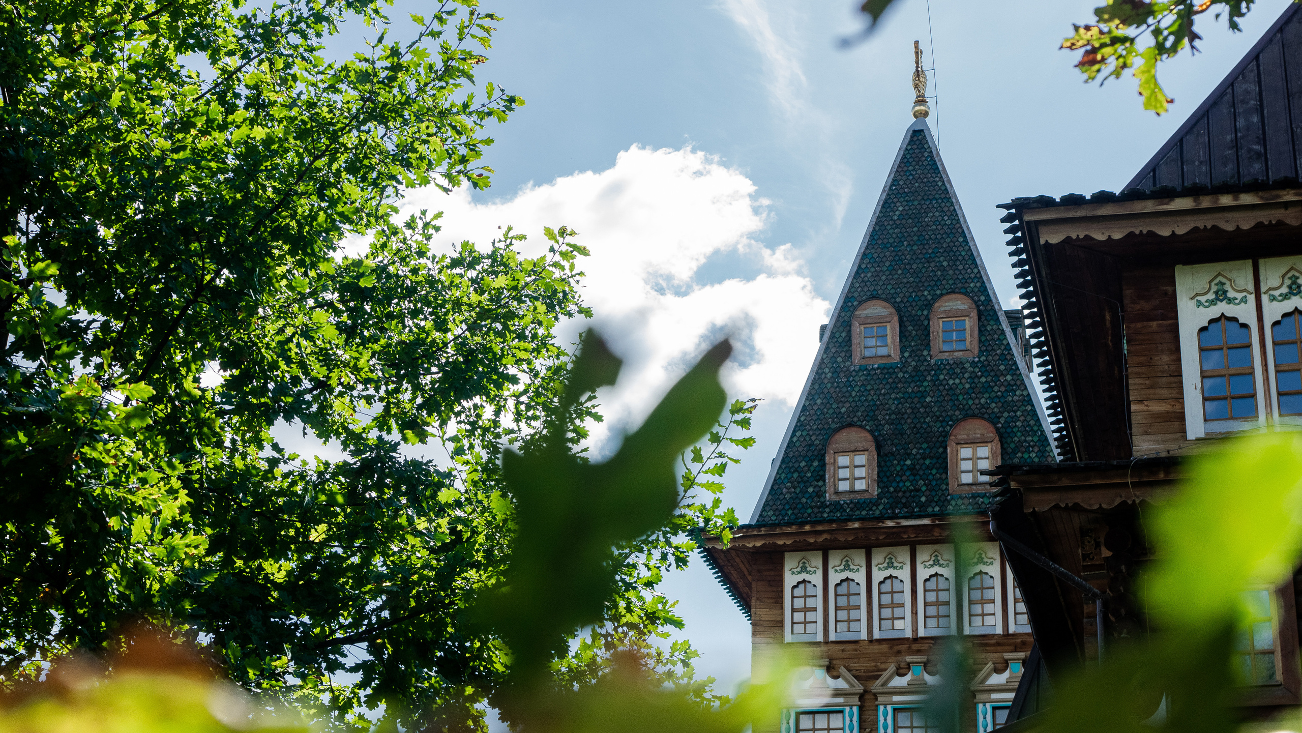 Свадьба молодых в парке Коломенское в Москве. Жуков Илья  свадебный фотограф в Москве