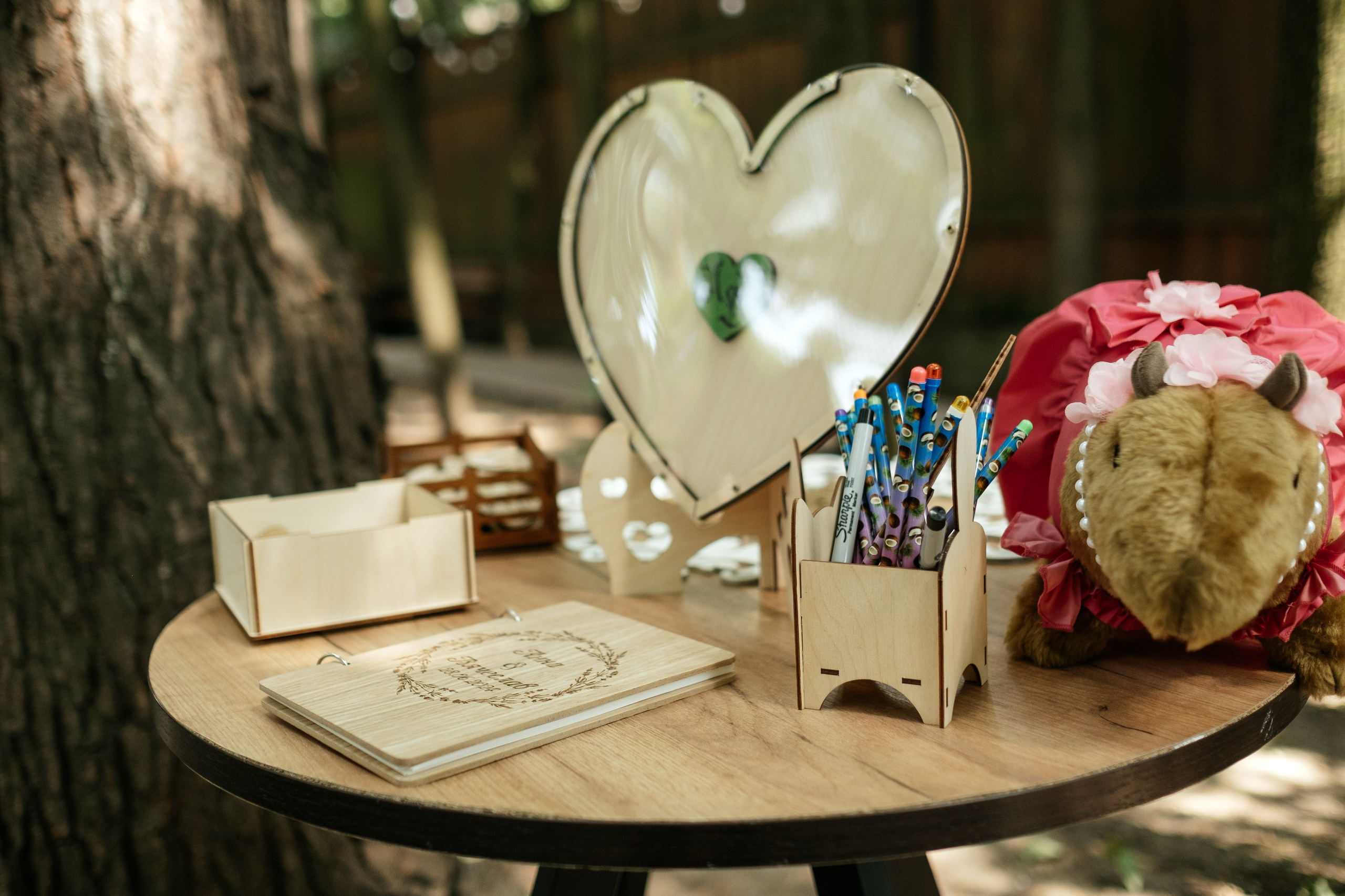 Вячеслав и Анна. Свадебный и семейный фотограф Москва, Звенигород, Одинцово, Можайск,