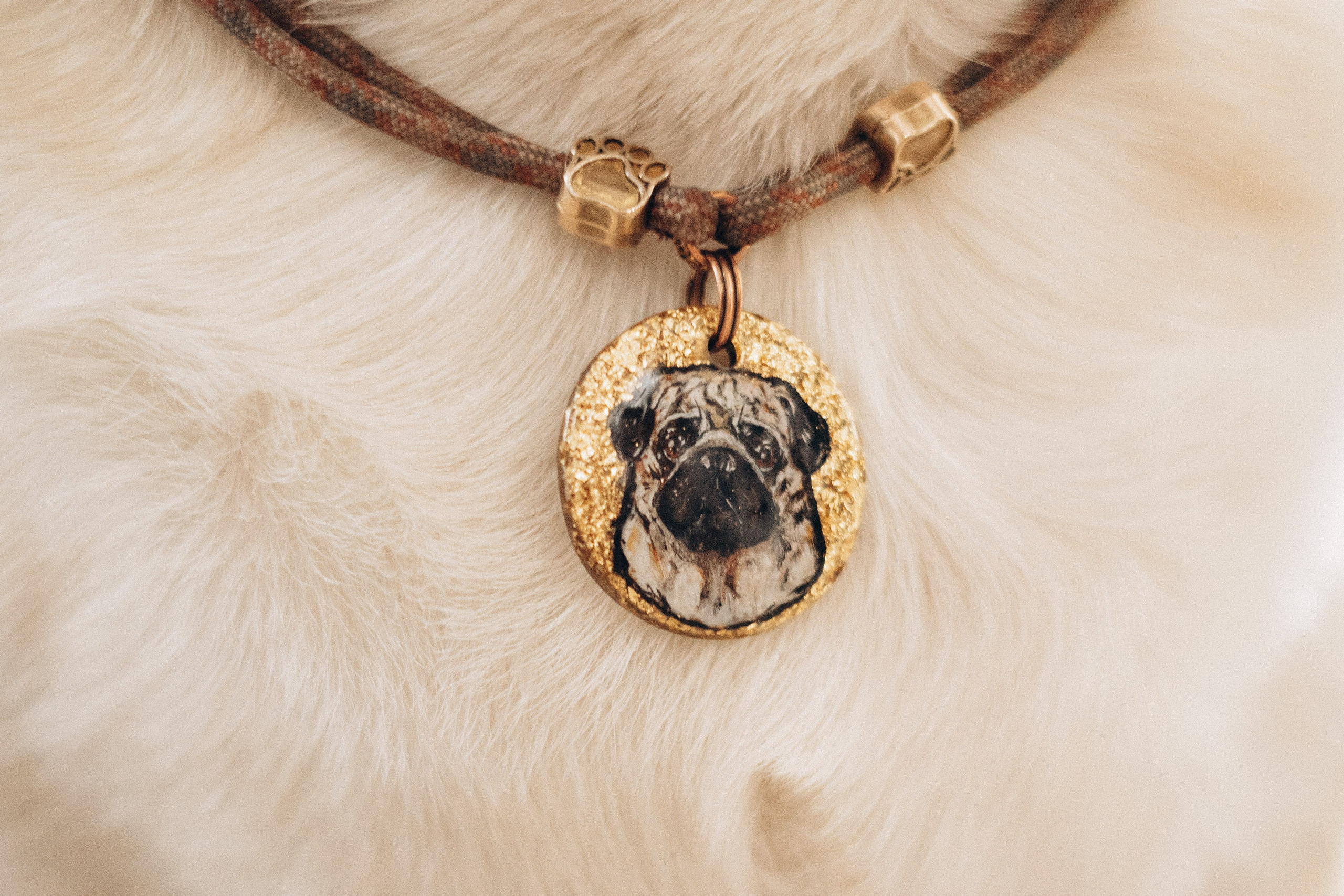 Семейная для Ксюши. Фотограф — Анималист | Санкт-Петербург