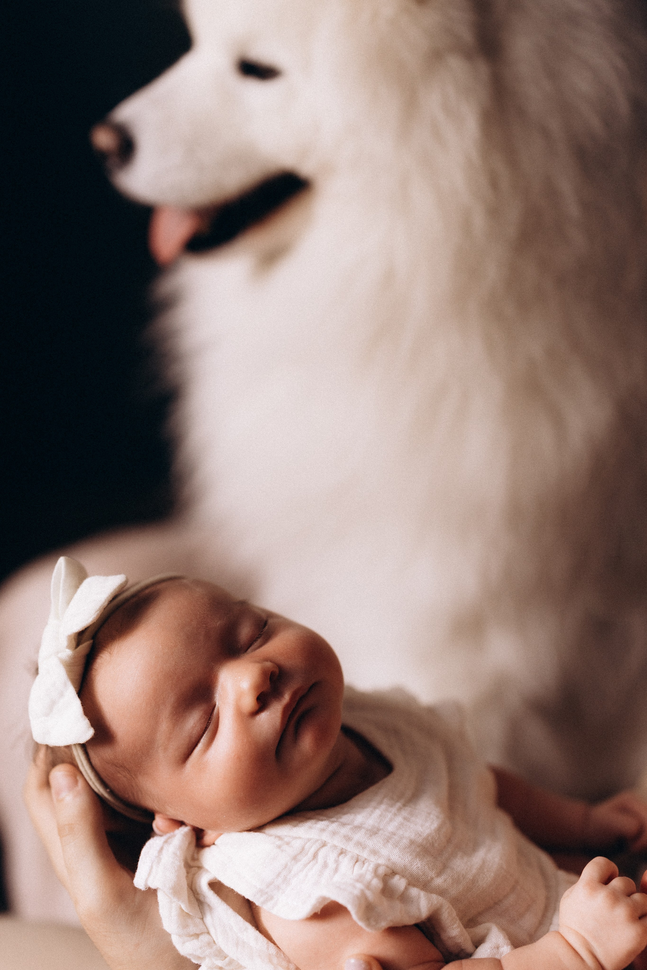 Василиса. Евгения Пелипас