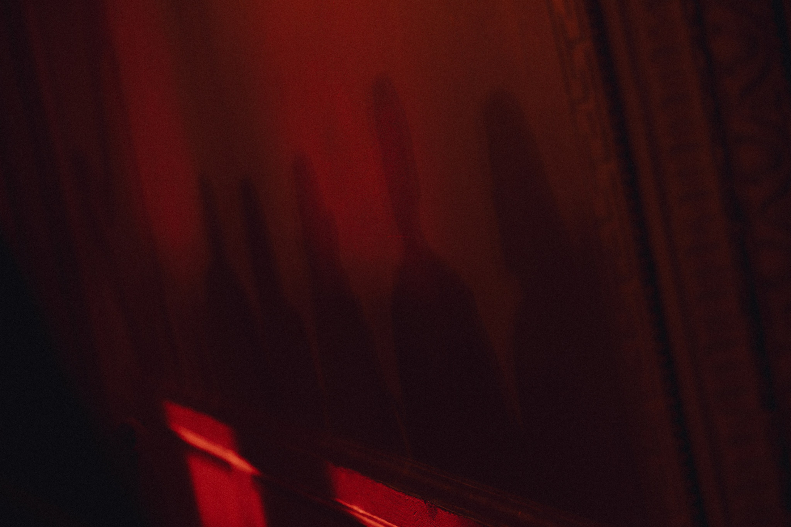 Лена и Кирилл. Эстетичный свадебный репортаж в любом городе страны