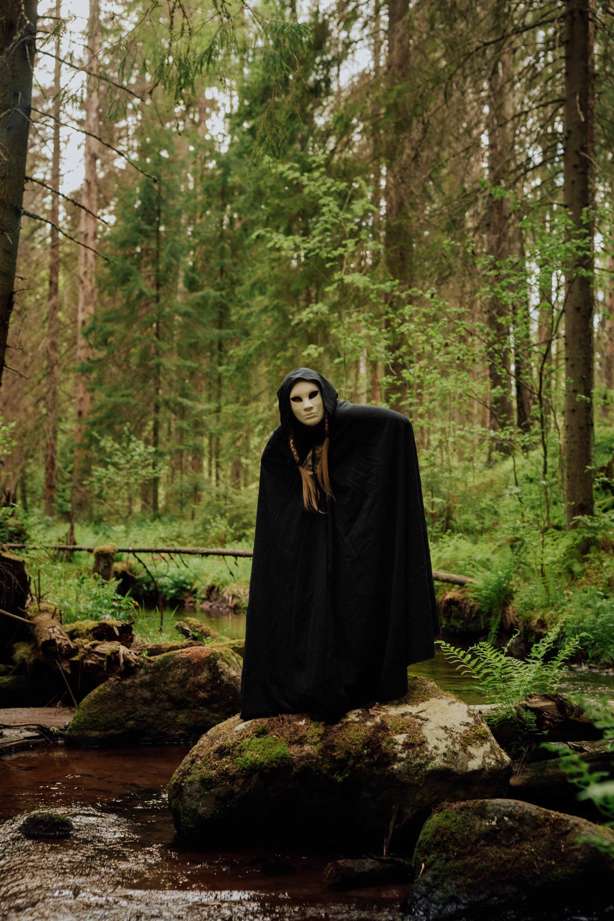 Догтрекинг. Фотограф в Санкт-Петербурге и Ленинградской области