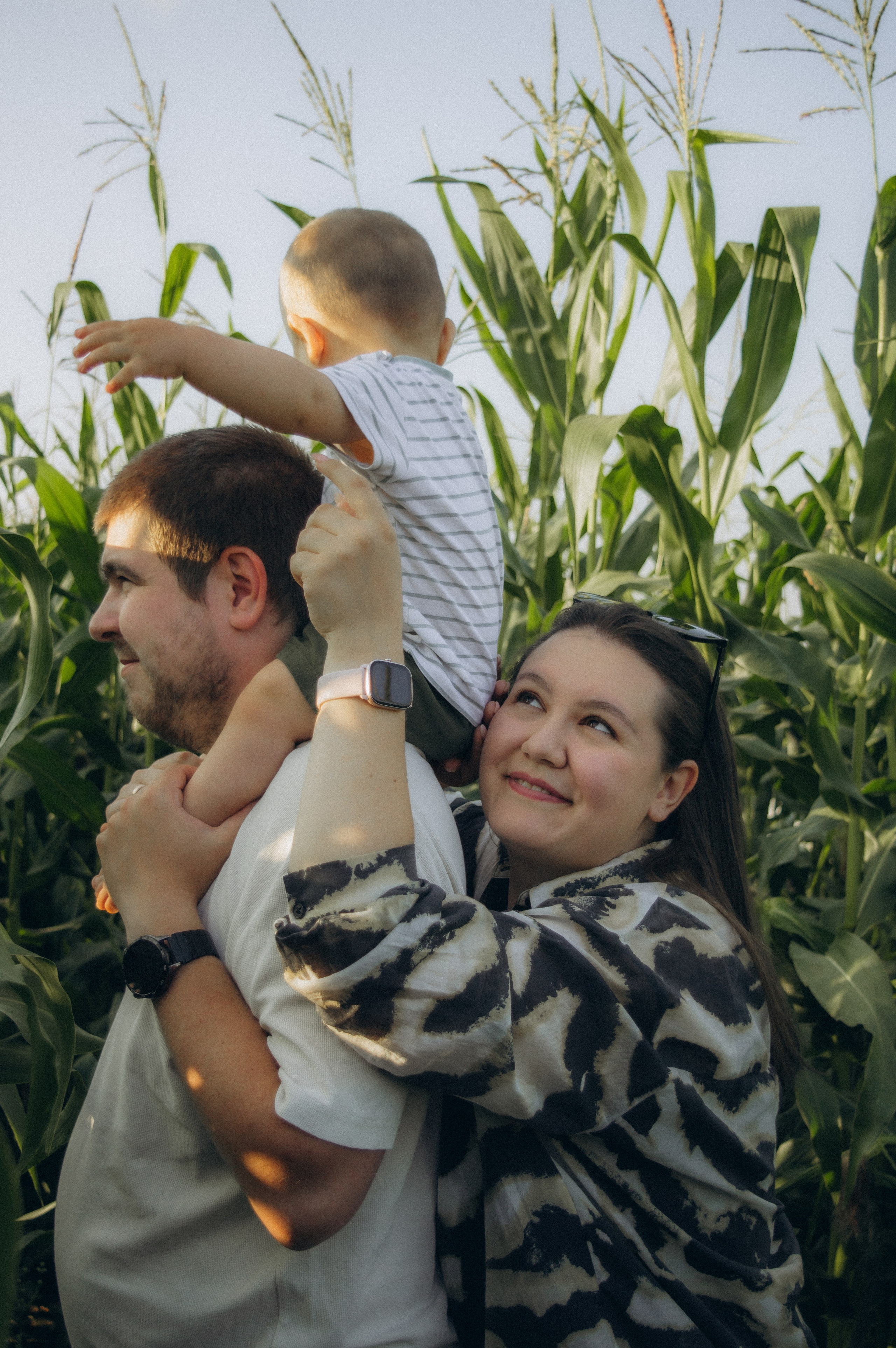 Лето, семья, кукуруза. Семейная летняя фотосессия. Юлия Левада Семейный и женский фотограф