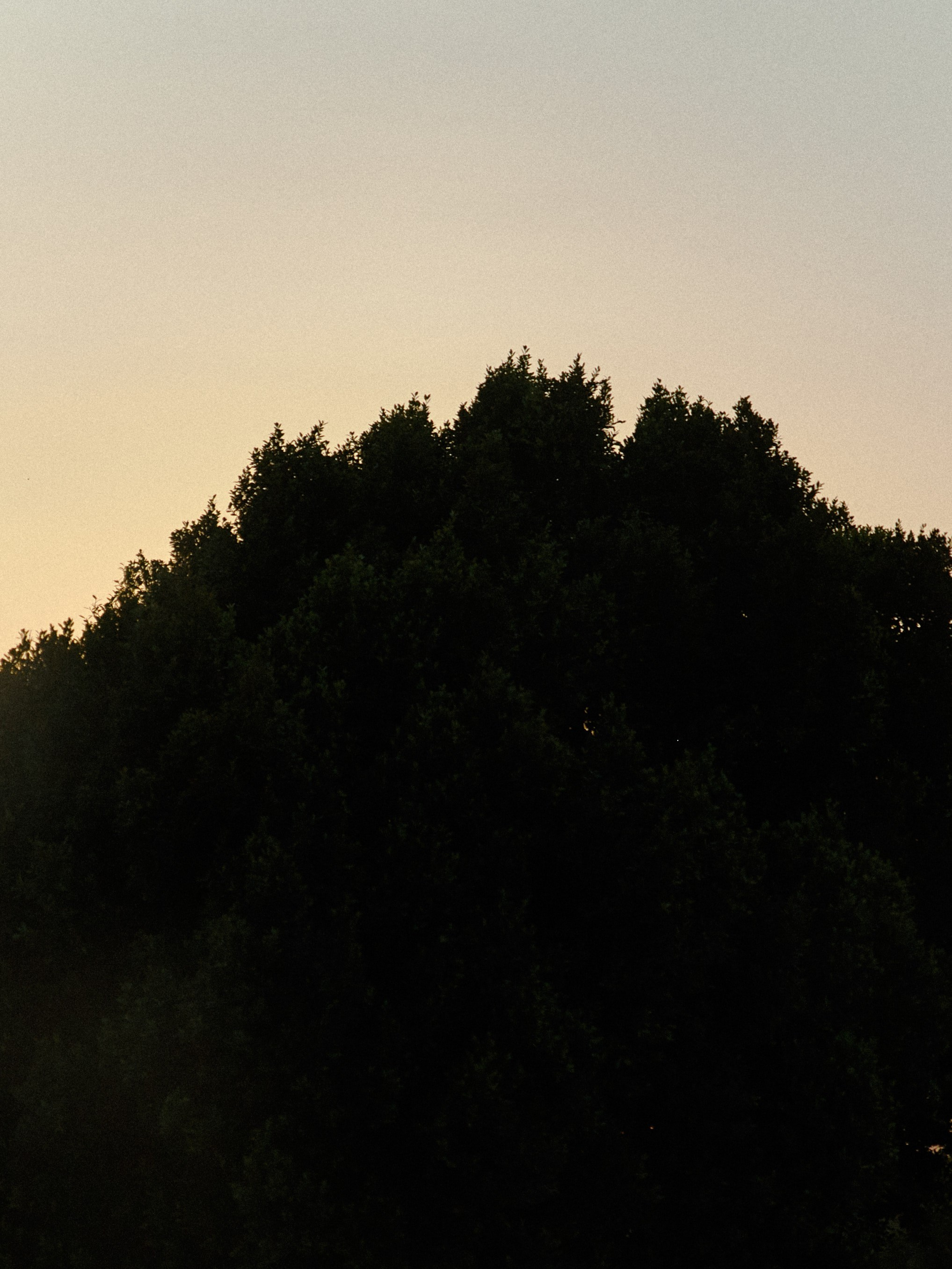 Природа. Jorgis Talè — photographer, kind person, teacher of arts and other mag