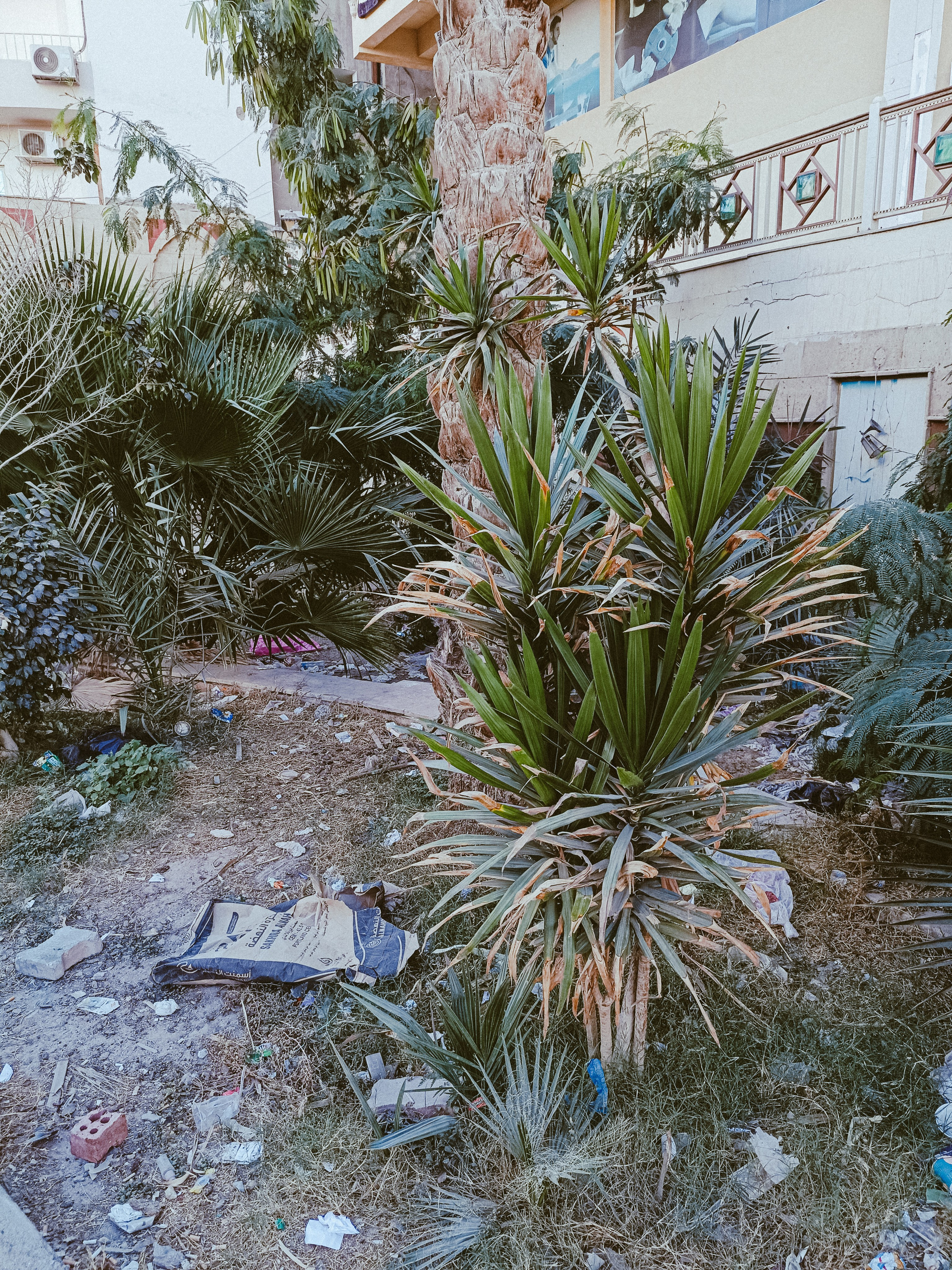 Мобильная. Jorgis — фотограф в Хургаде / обучение фотографии