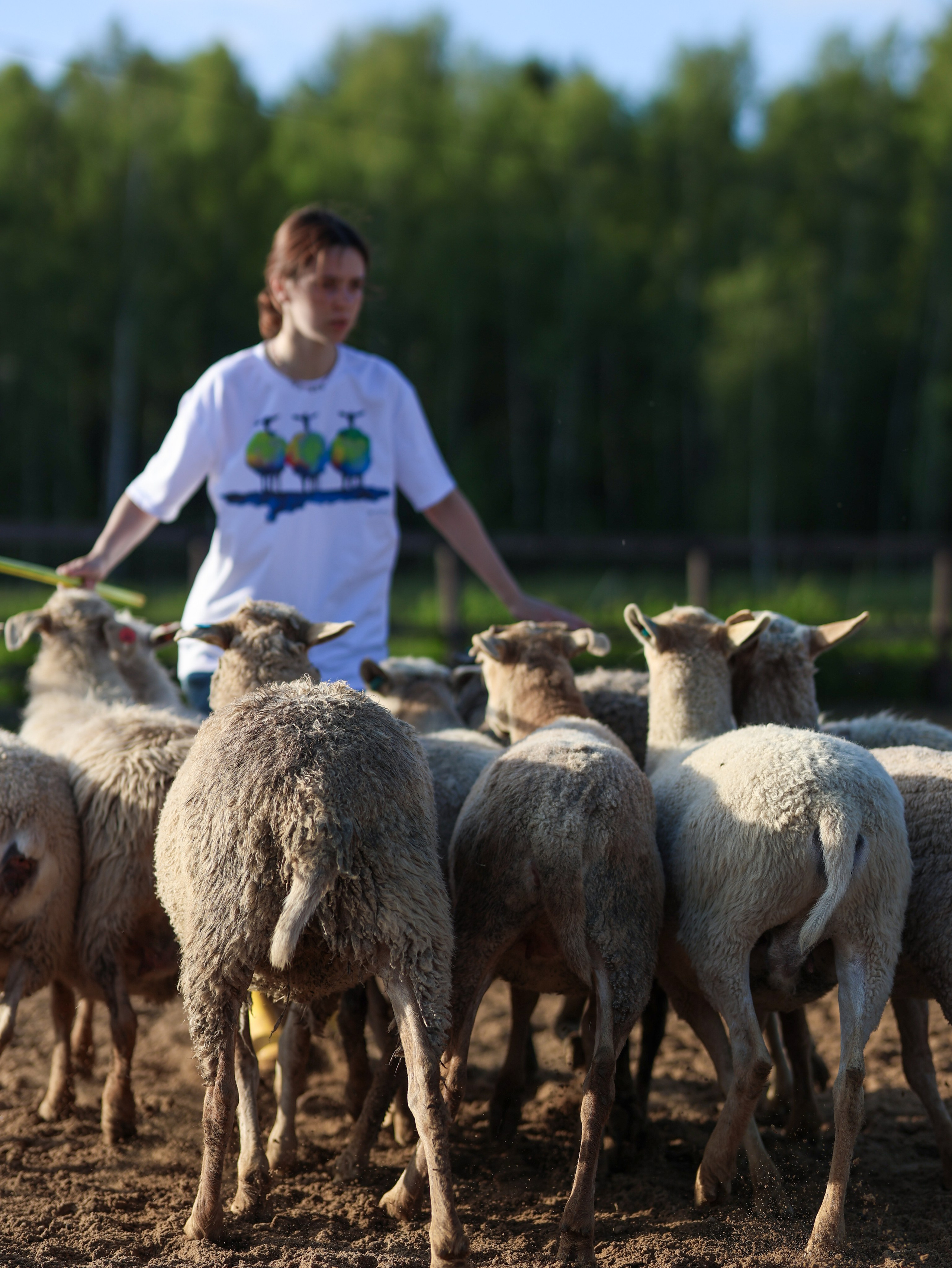 Пастьба. Фотограф-анималист в Москве Кириллова Татьяна