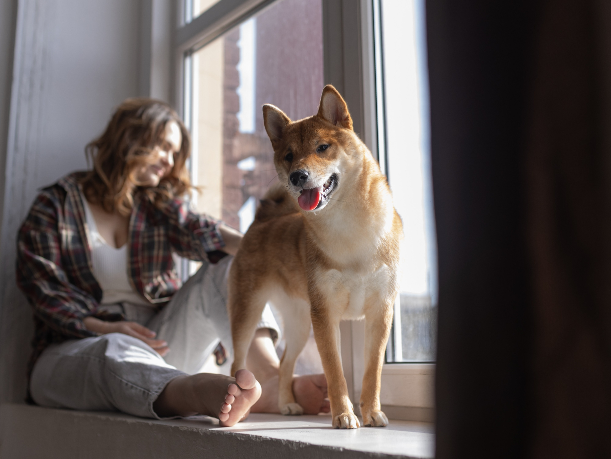 Мика и Настя. Фотограф-анималист в Москве Кириллова Татьяна