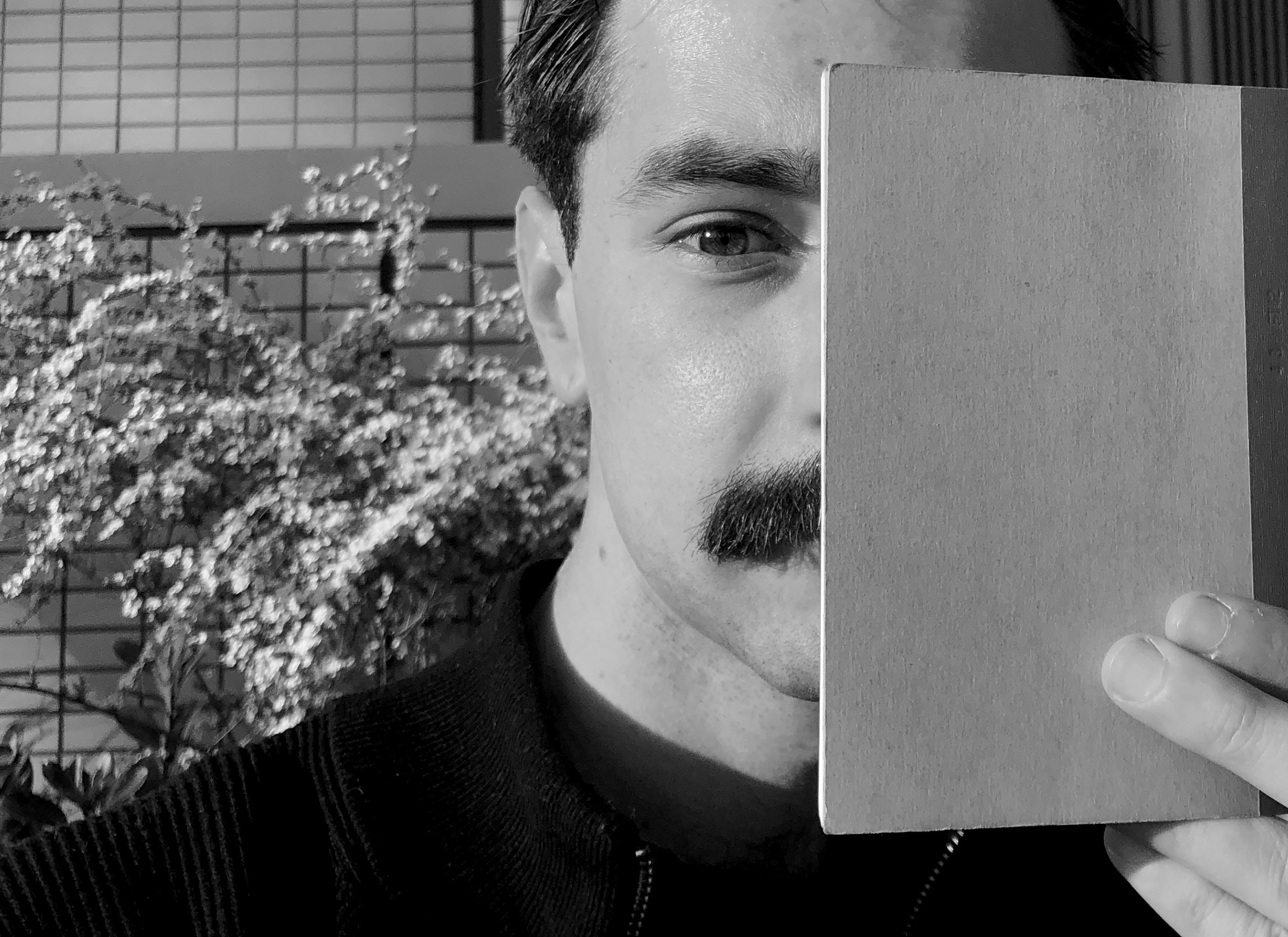 Кисловодск — Токио. Смотри, красота!