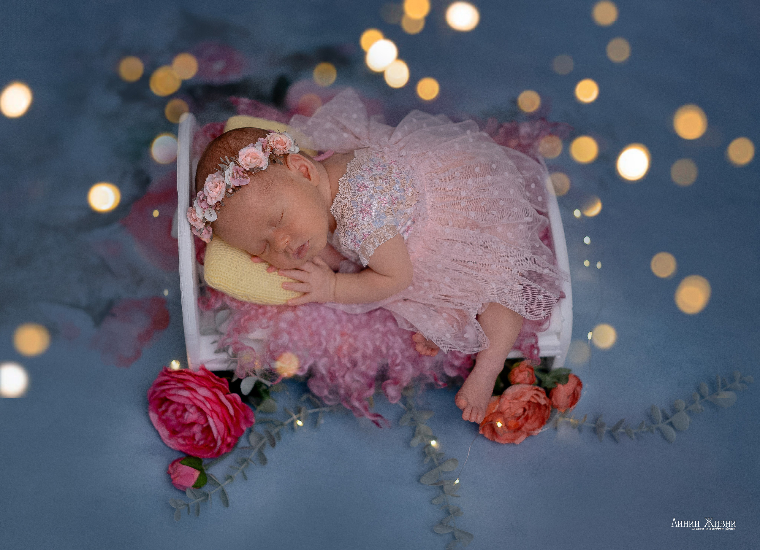 Серафима 19 дней. Фотограф новорожденных в Нижнем Новгороде Сергеева Оксана