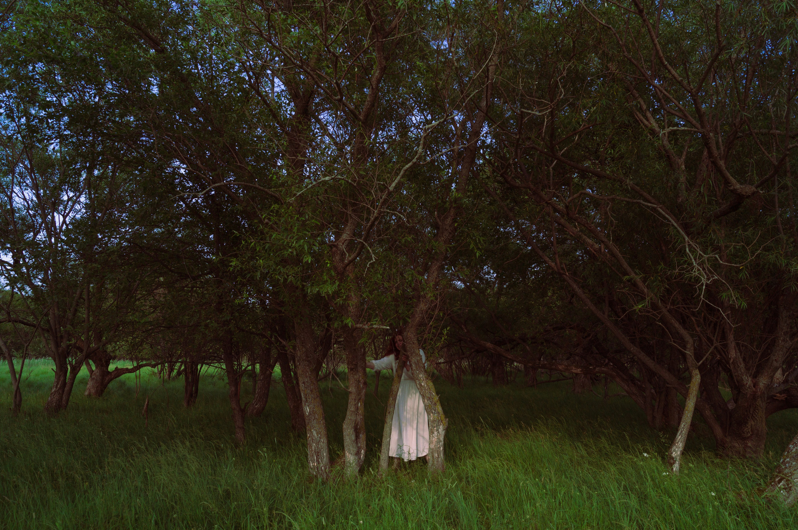 Natalya Konteyeva photographer